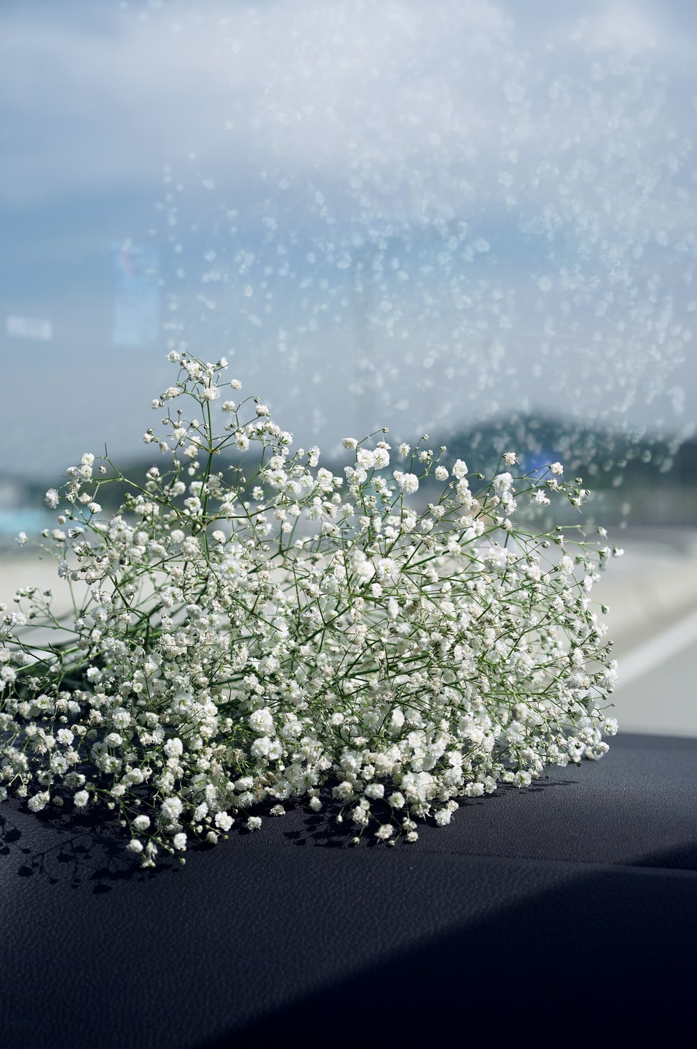 Baby'S Breath Wallpapers