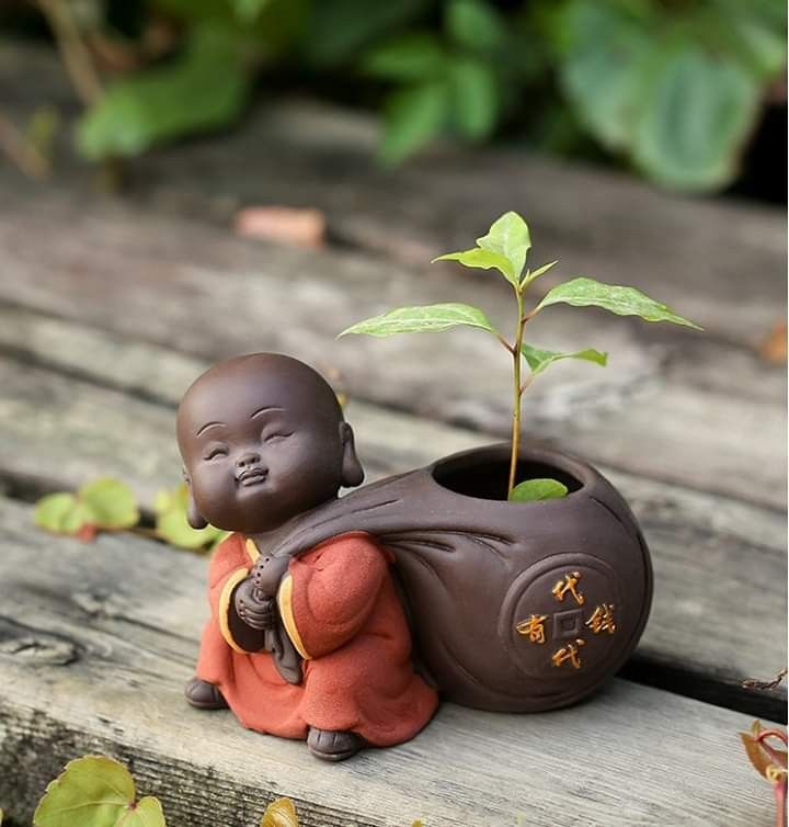 Baby Buddha Pictures Wallpapers