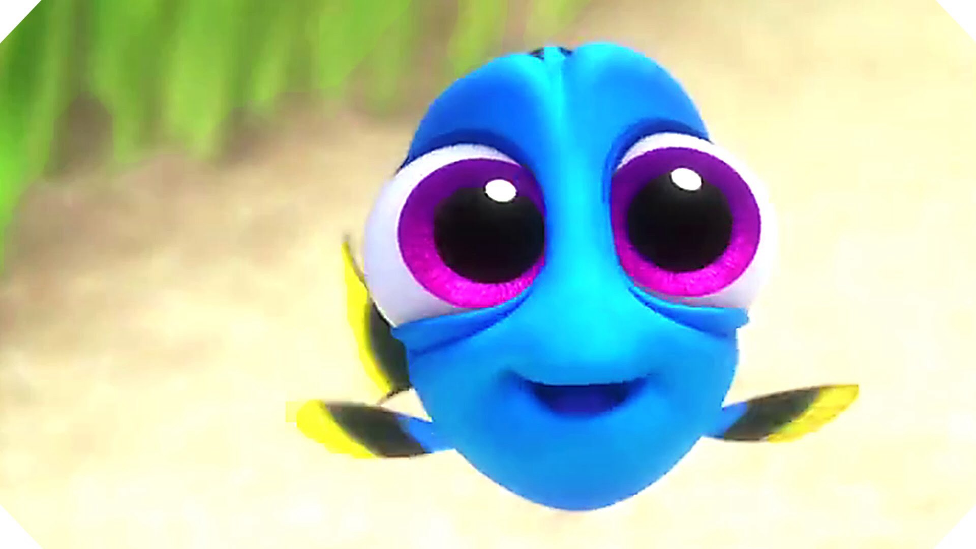 Baby Dory Wallpapers