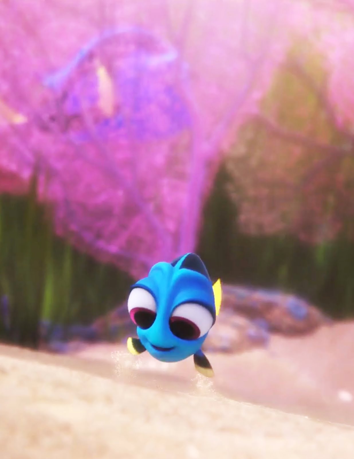 Baby Dory Wallpapers