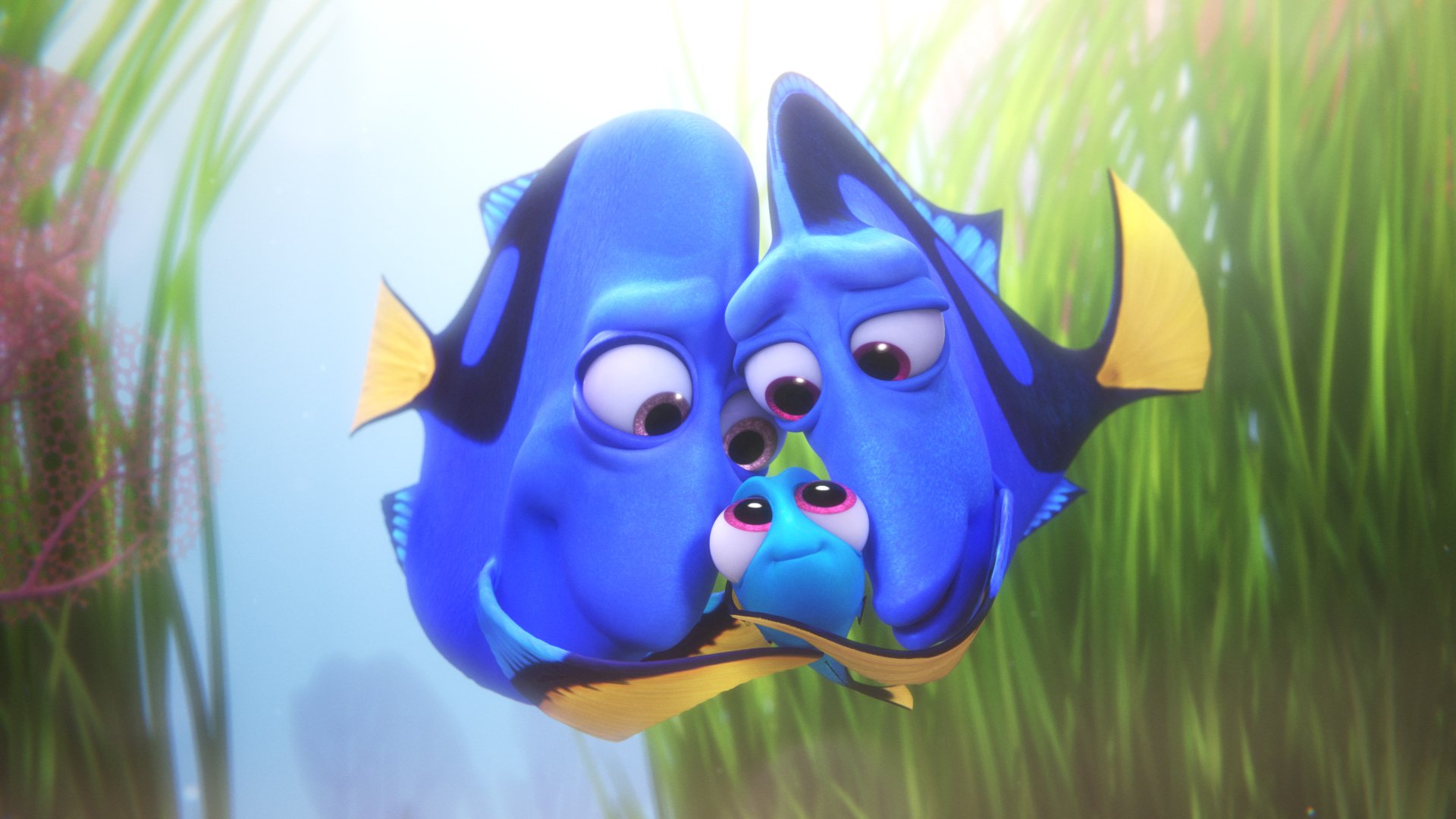 Baby Dory Wallpapers