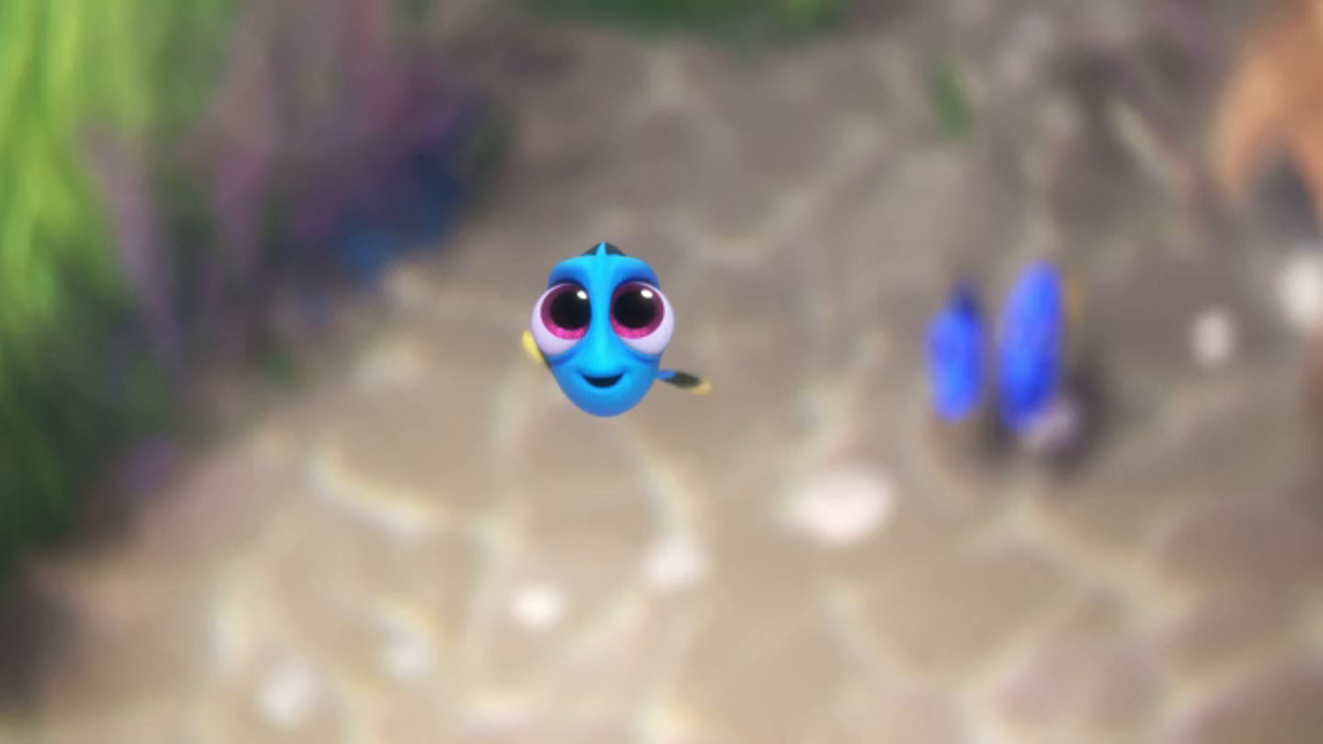 Baby Dory Wallpapers