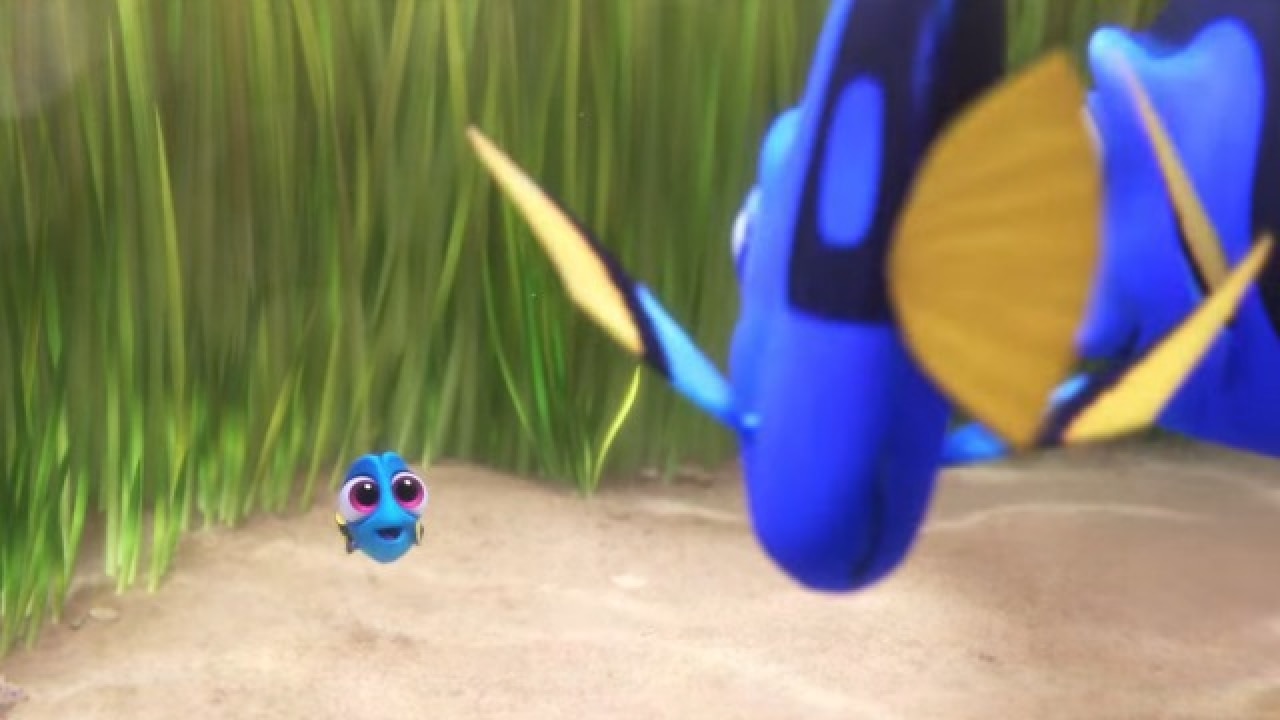 Baby Dory Wallpapers