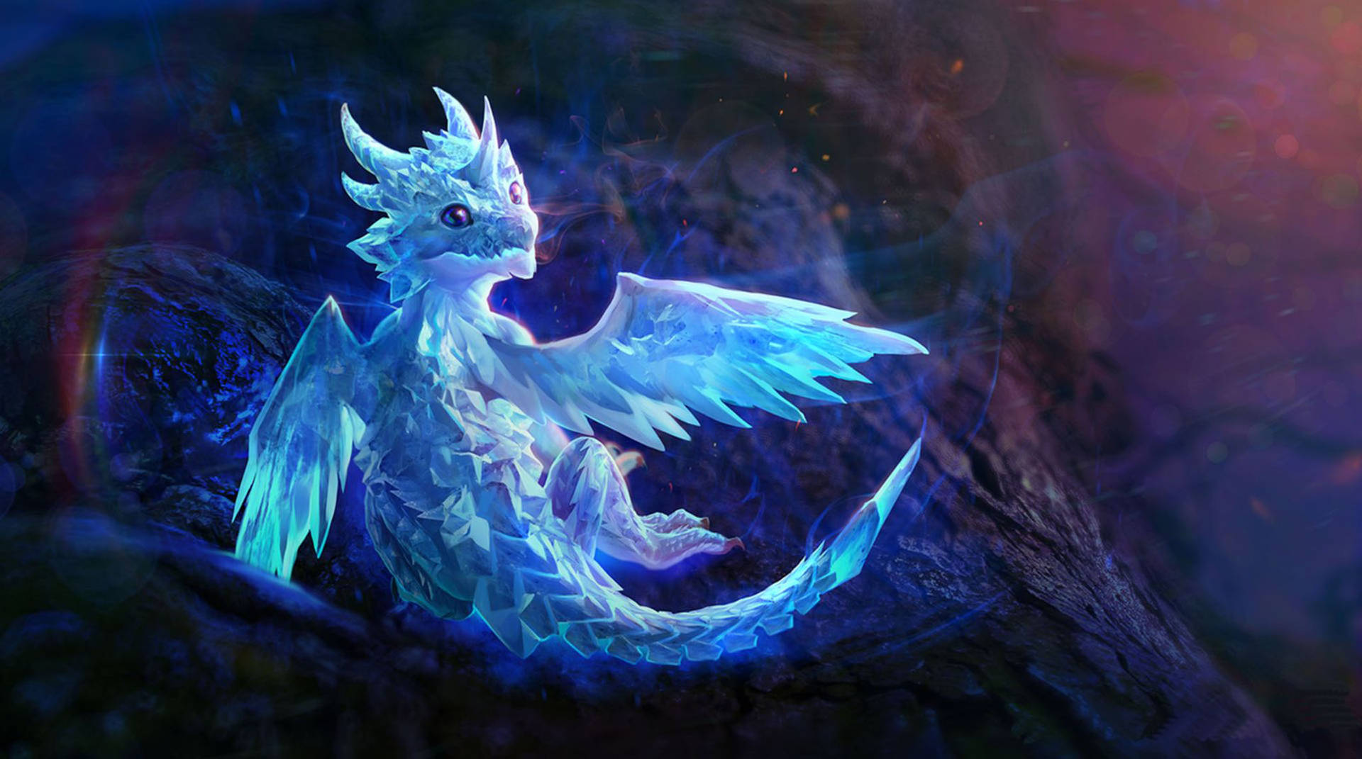 Baby Dragon Wallpapers