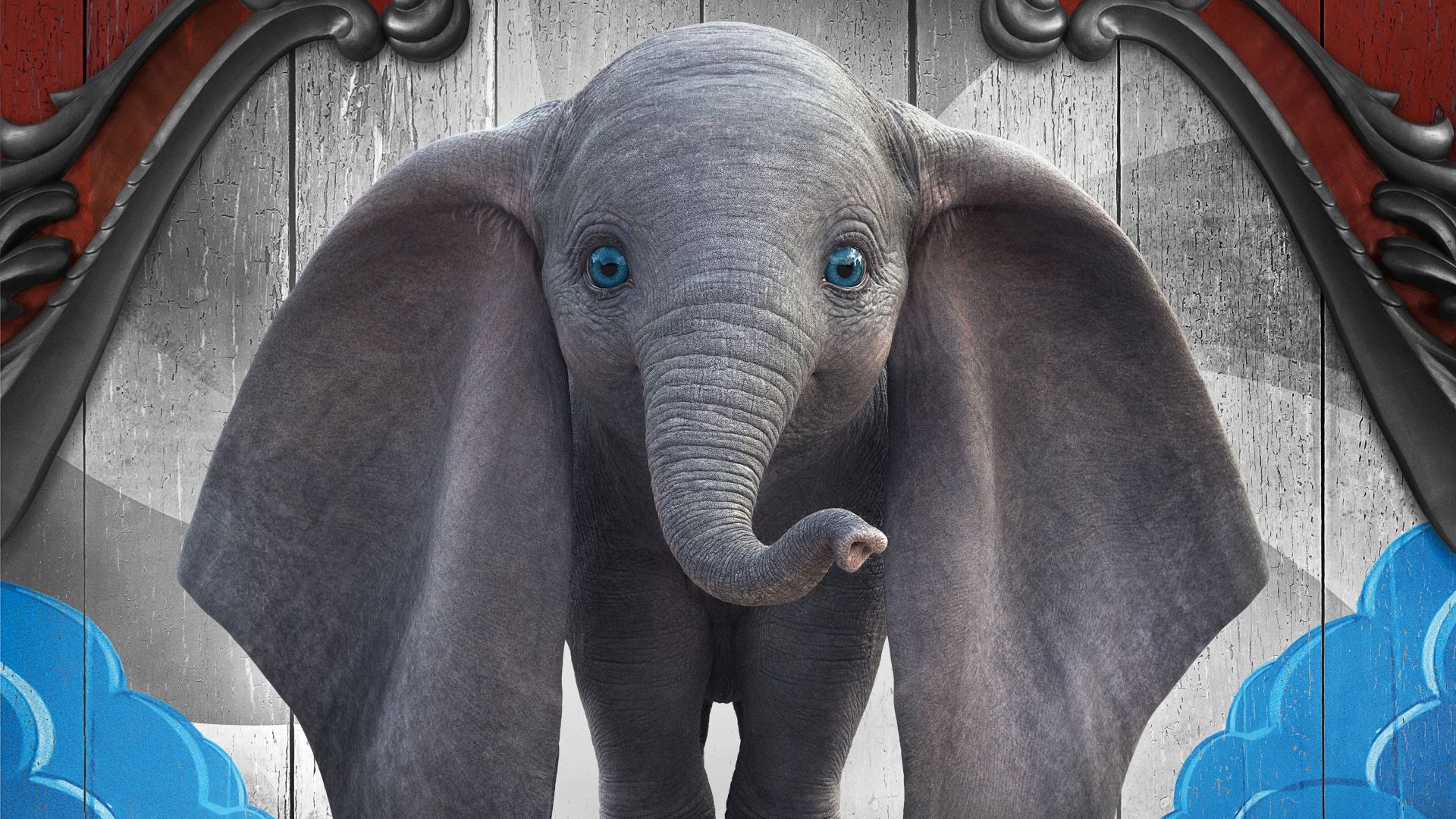 Baby Elephant Wallpapers