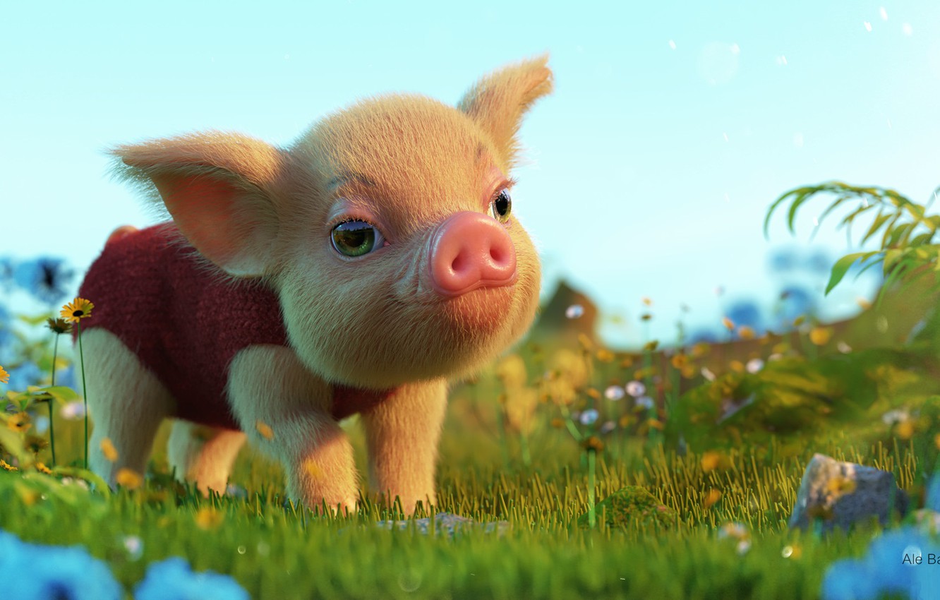 Baby Pigs Wallpapers