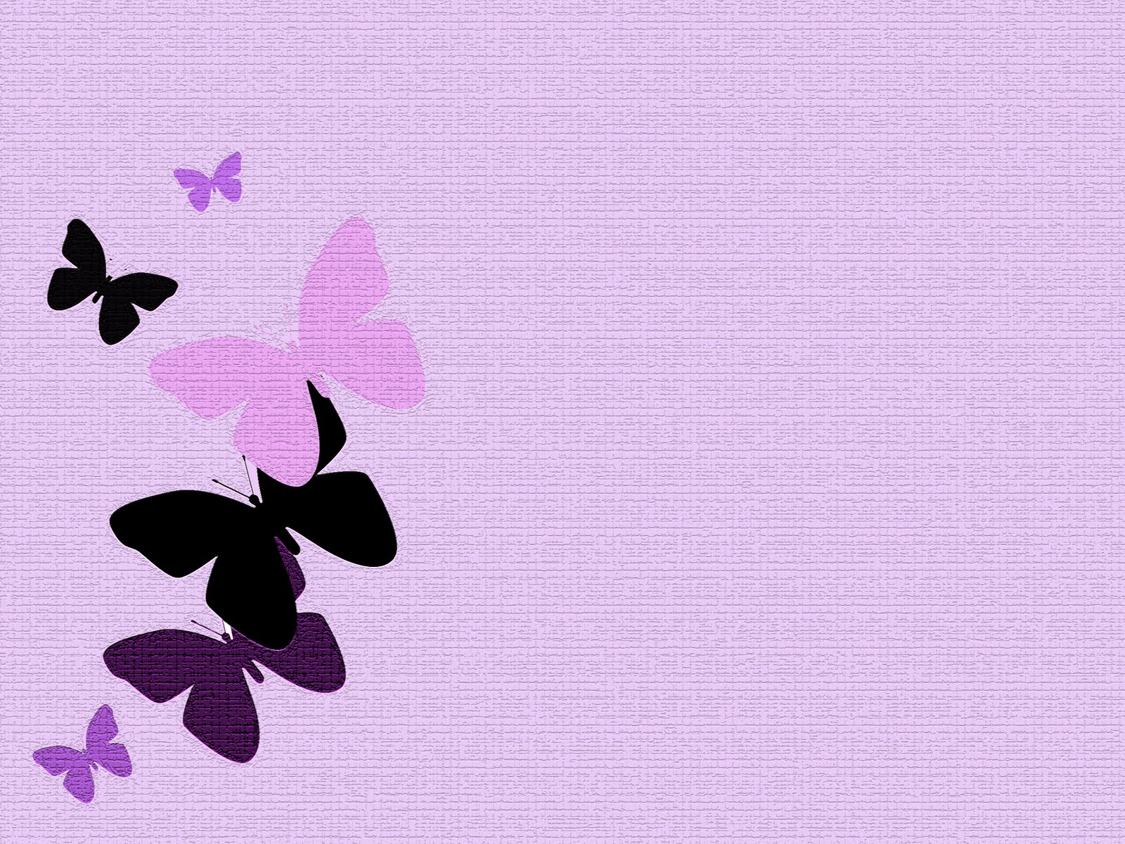 Baby Purple Wallpapers