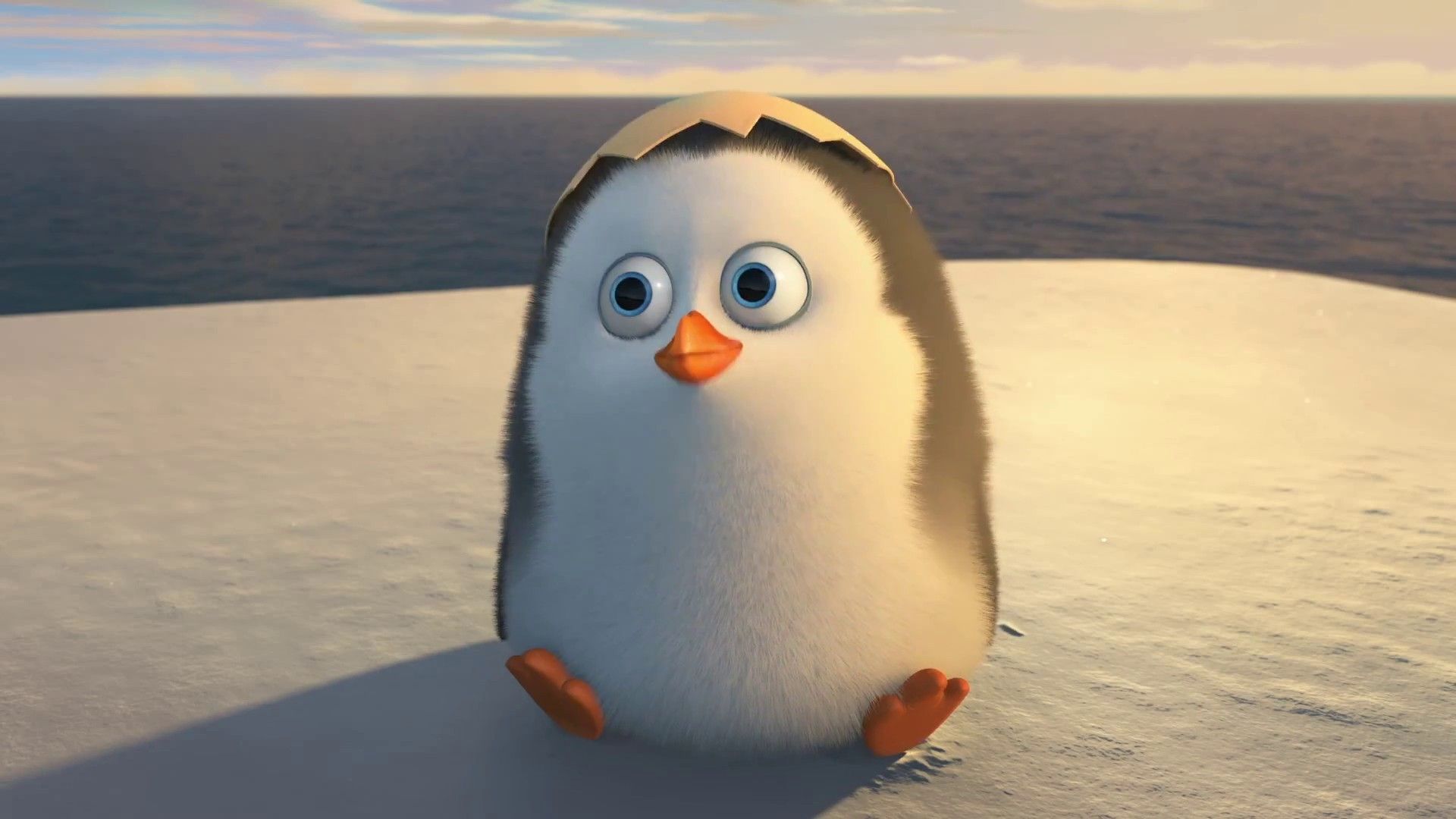 Babypenguin Wallpapers