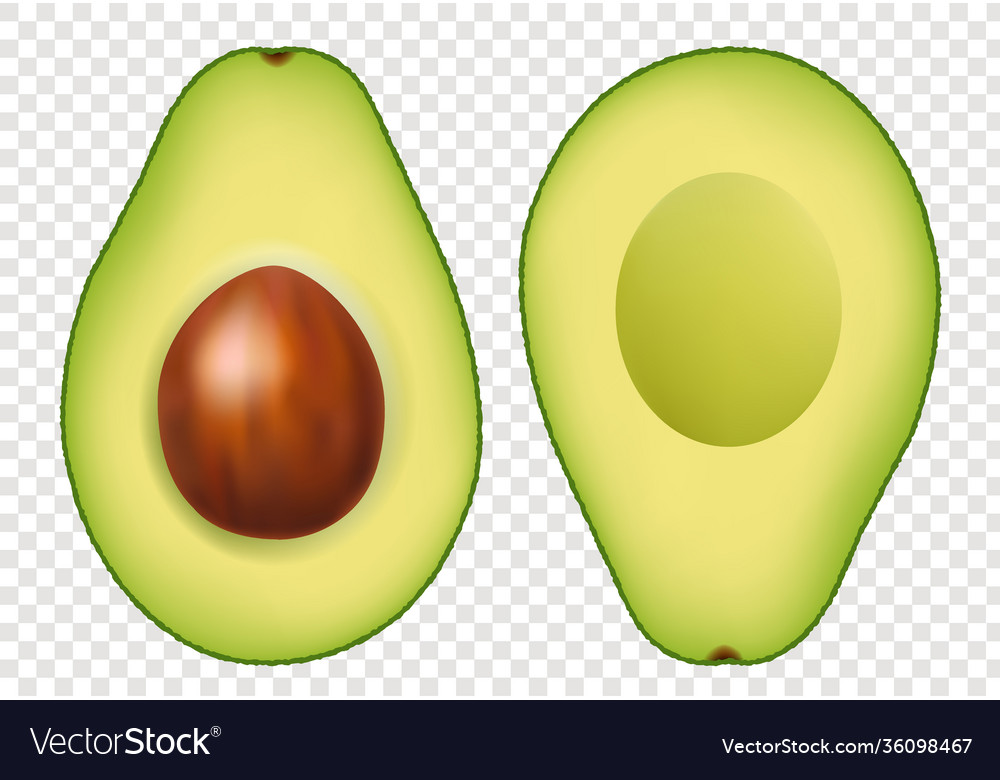 Background Avocado