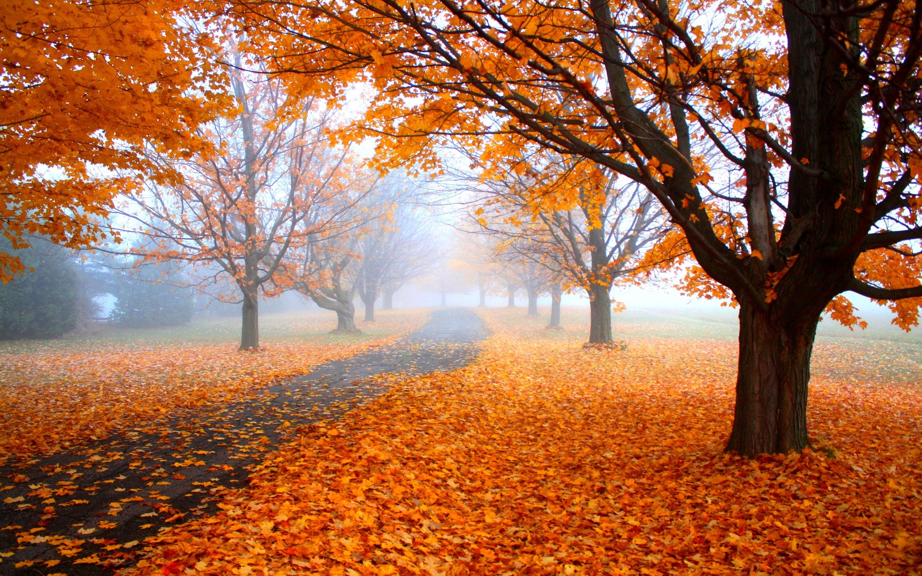 Background Images Landscape Fall