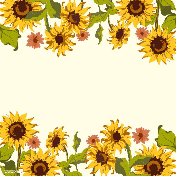 Background Sunflower