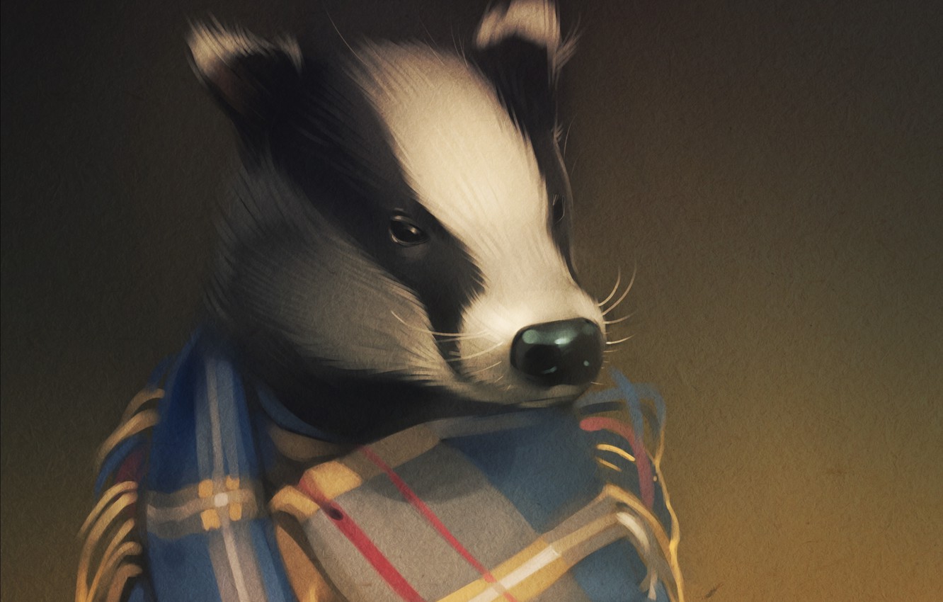 Badger Wallpapers