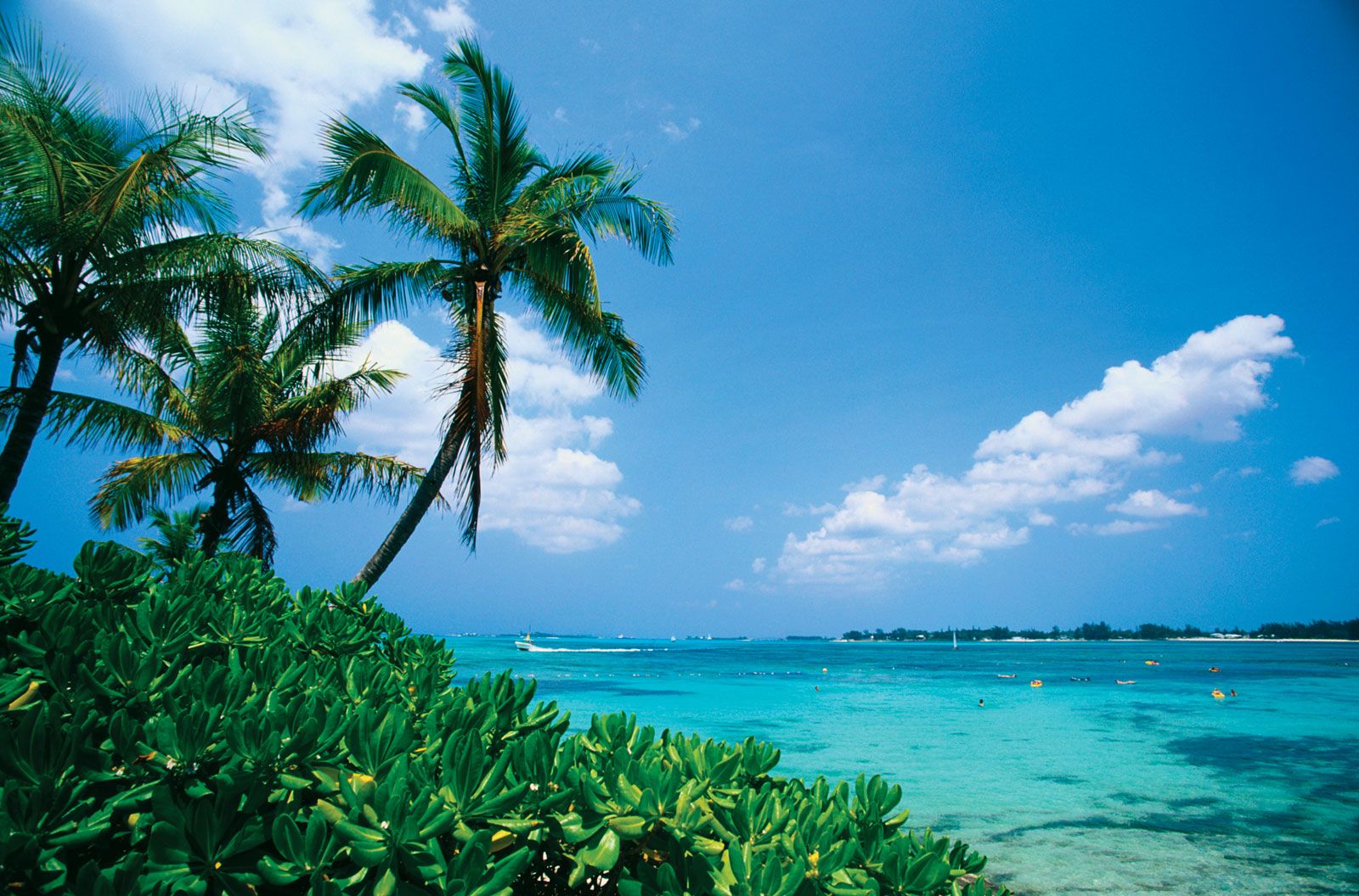 Bahama Background