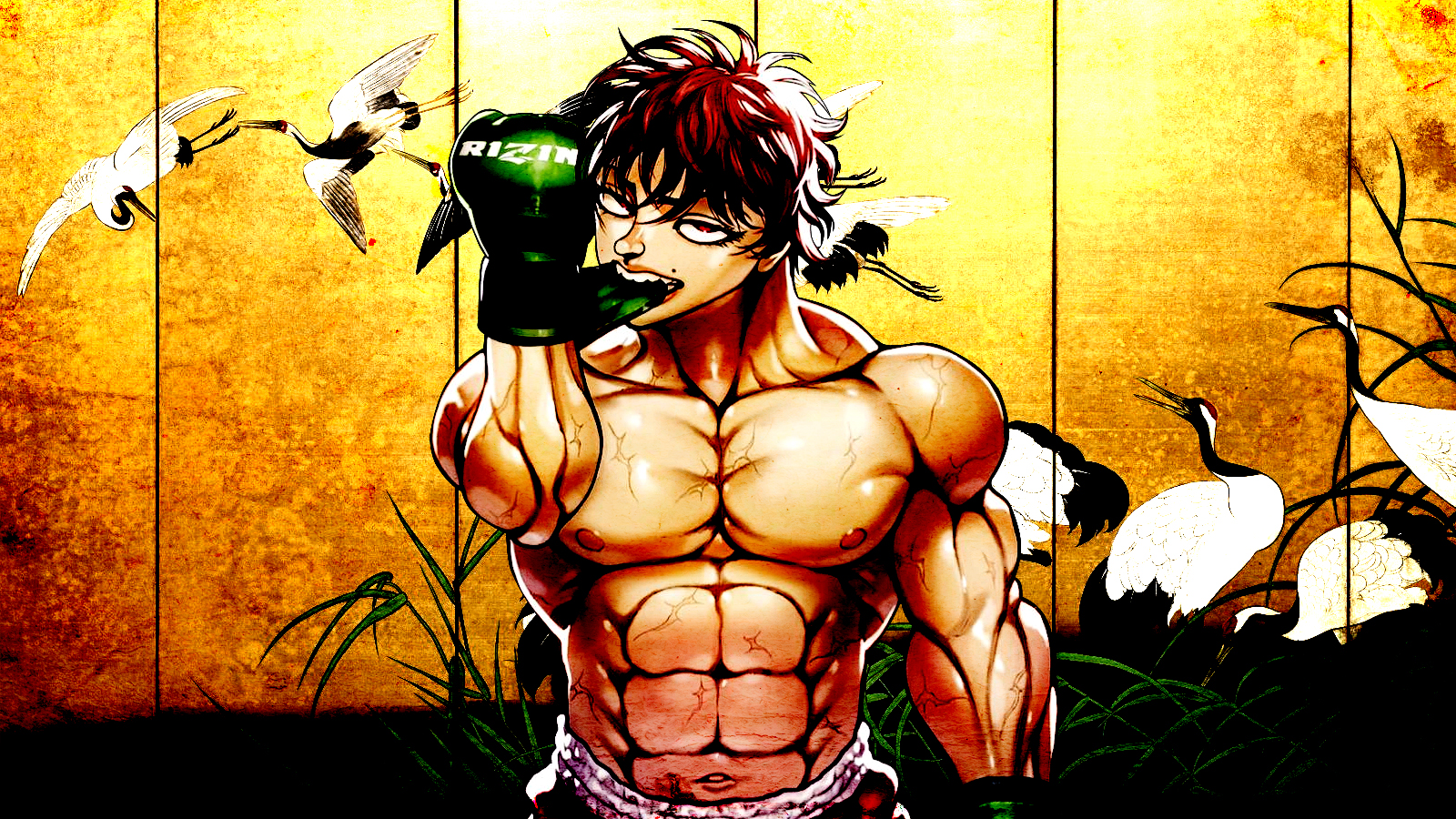 Baki Wallpapers