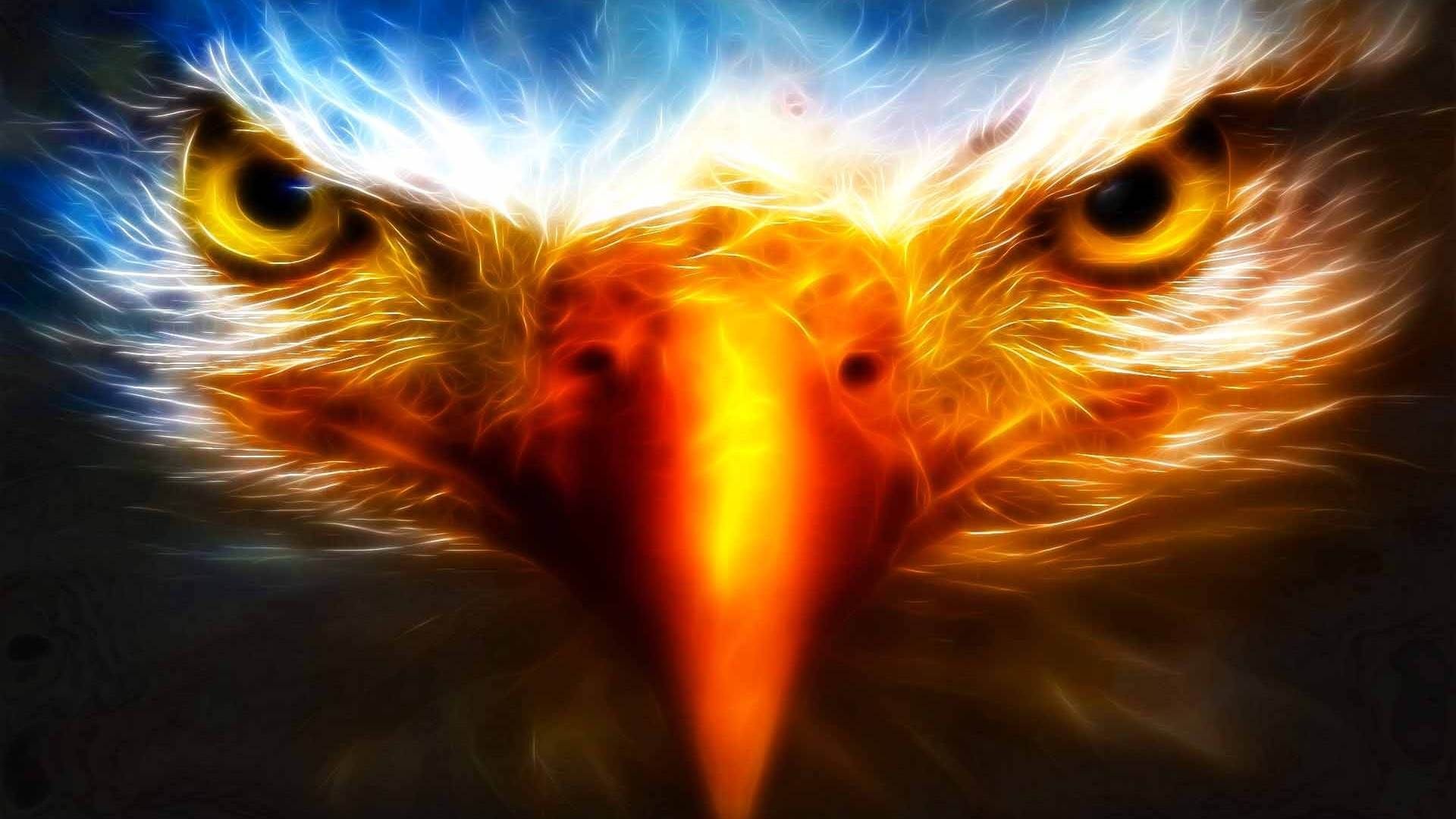 Bald Eagles Wallpapers