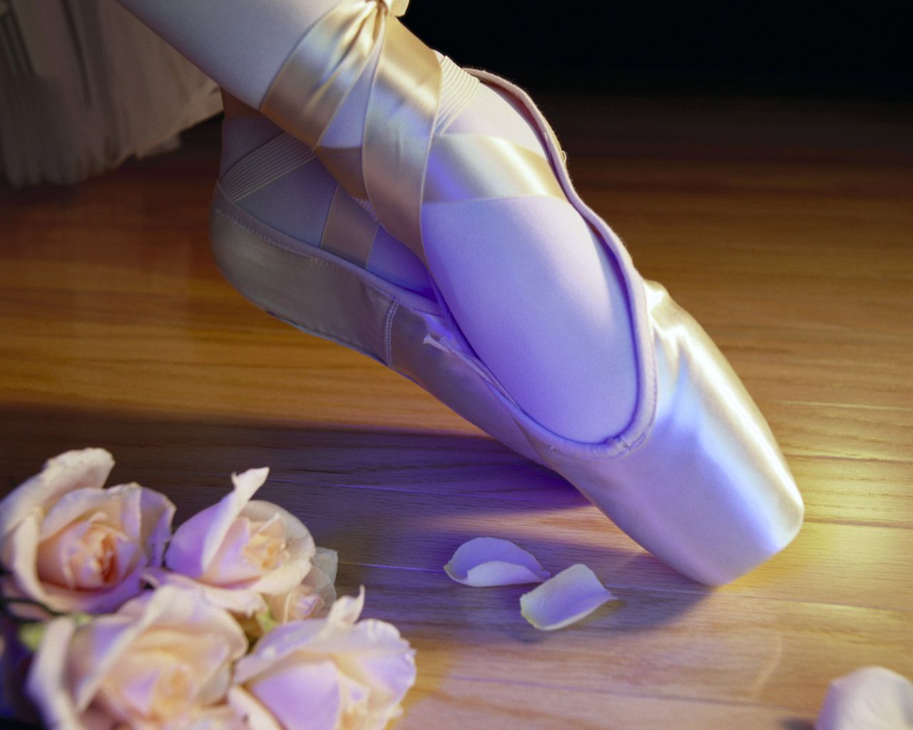 Ballet Shoe Wallpapers