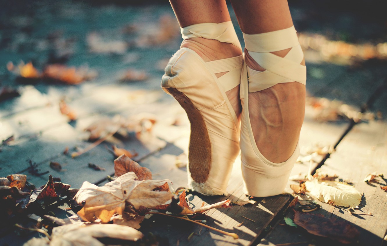 Ballet Shoe Wallpapers