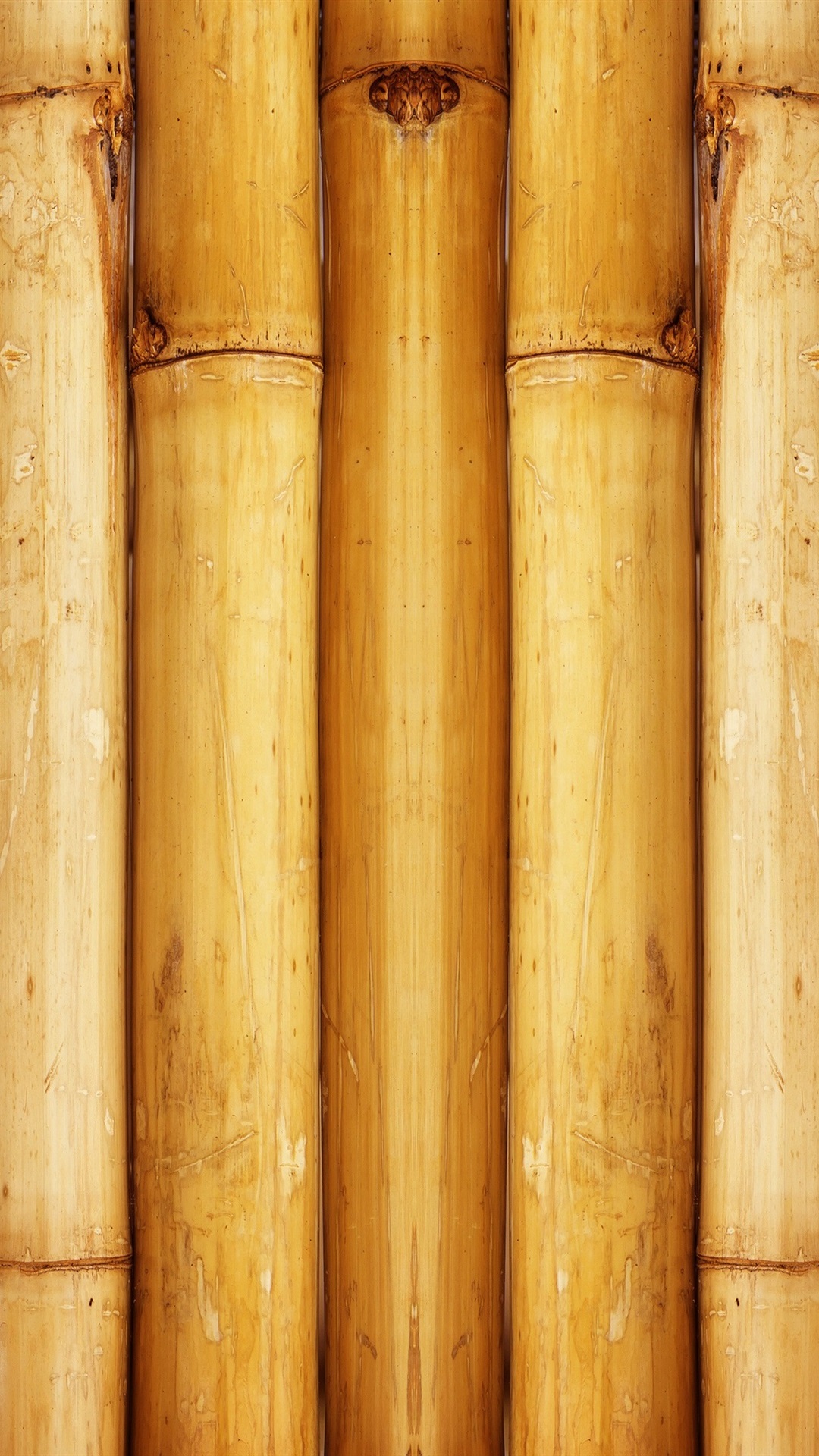 Bamboo Iphone Wallpapers