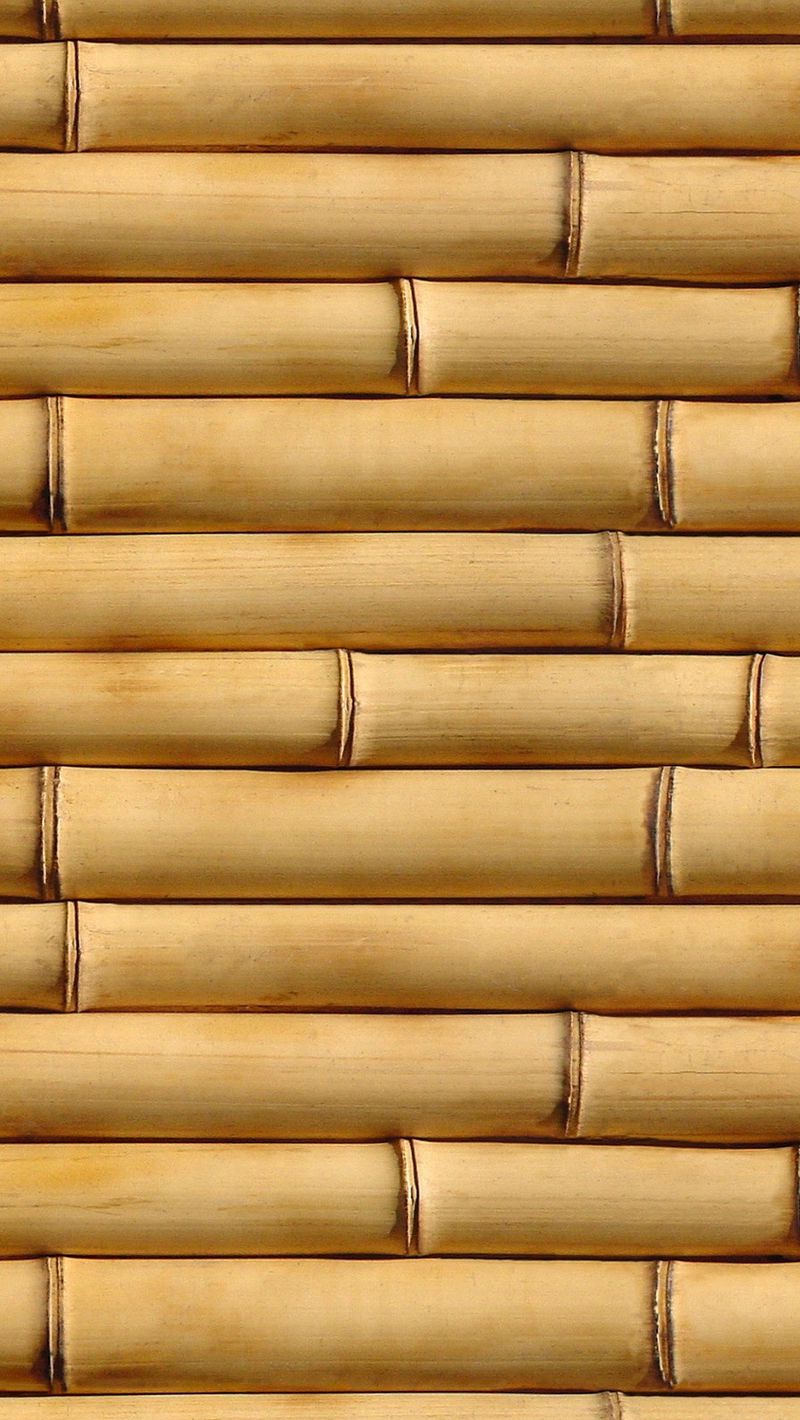 Bamboo Iphone Wallpapers