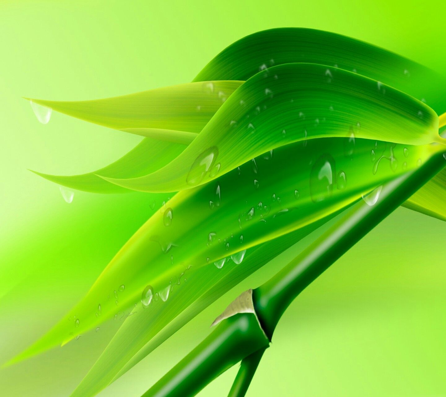 Bamboo Leaf Wallpapers