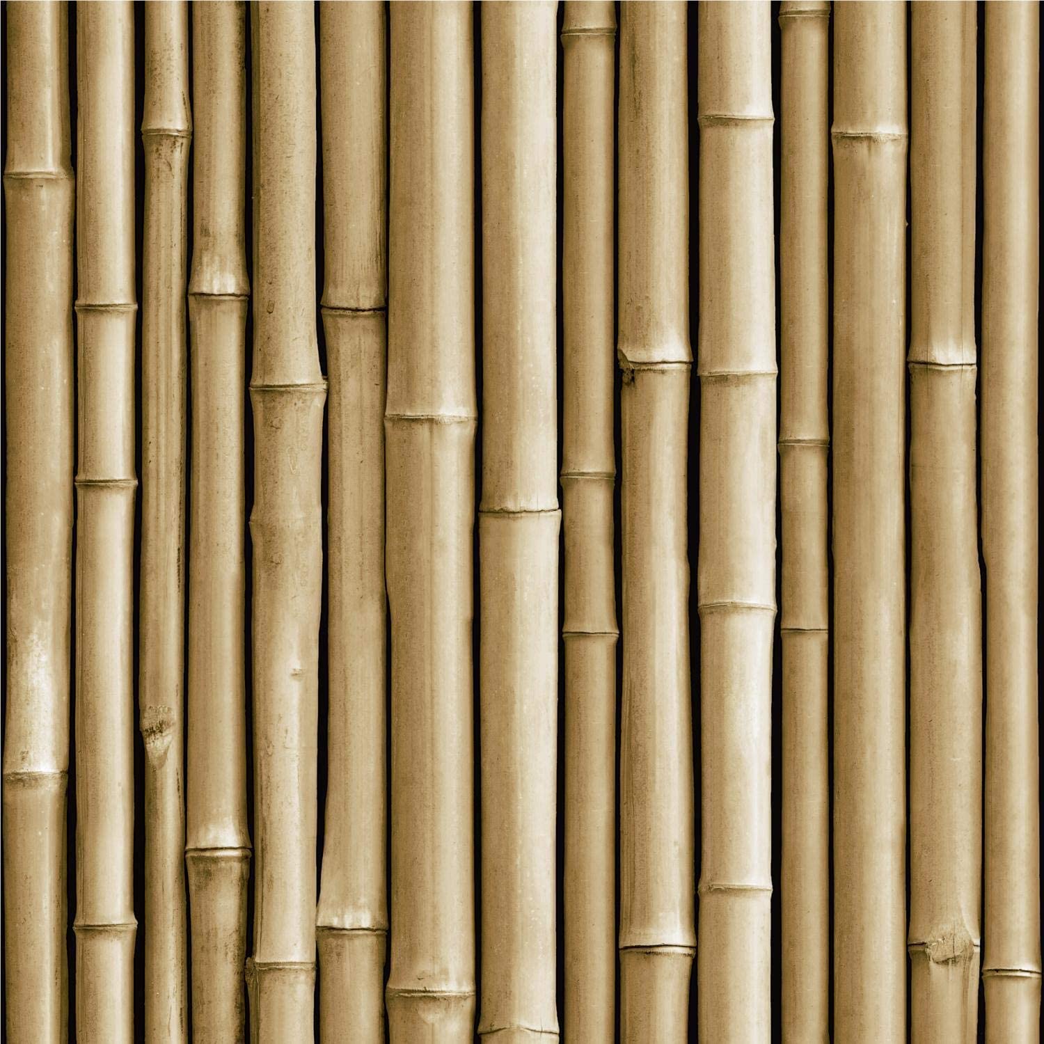 Bamboo Wallpapers