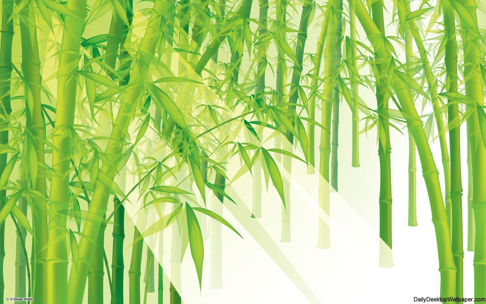 Bamboo Wallpapers