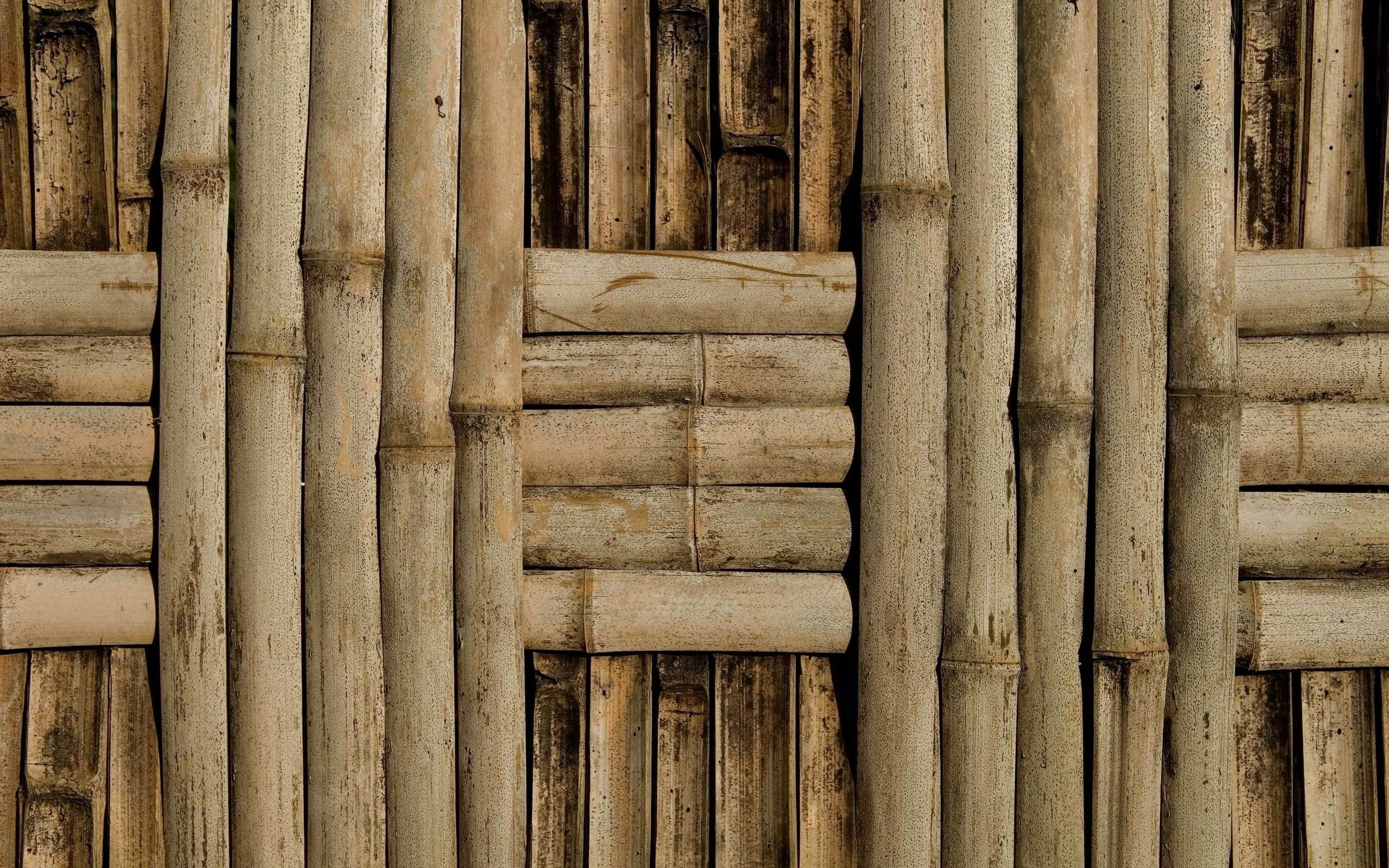 Bamboo Wallpapers