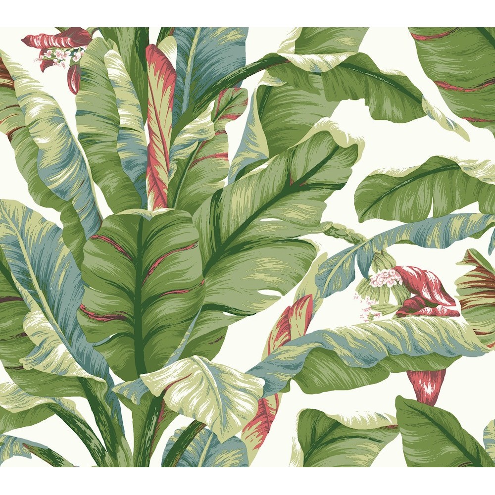 Banana Leaf Wallpapers