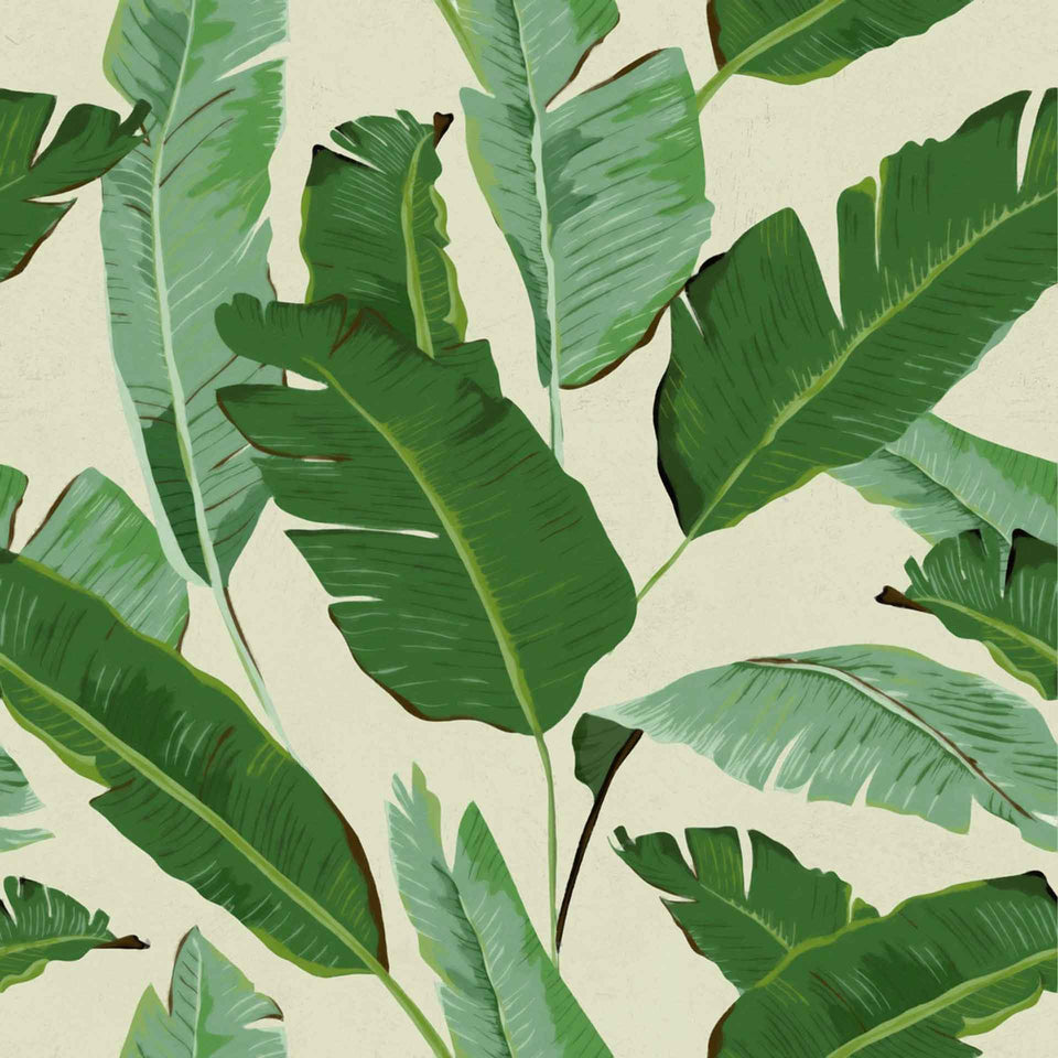 Banana Leaf Wallpapers