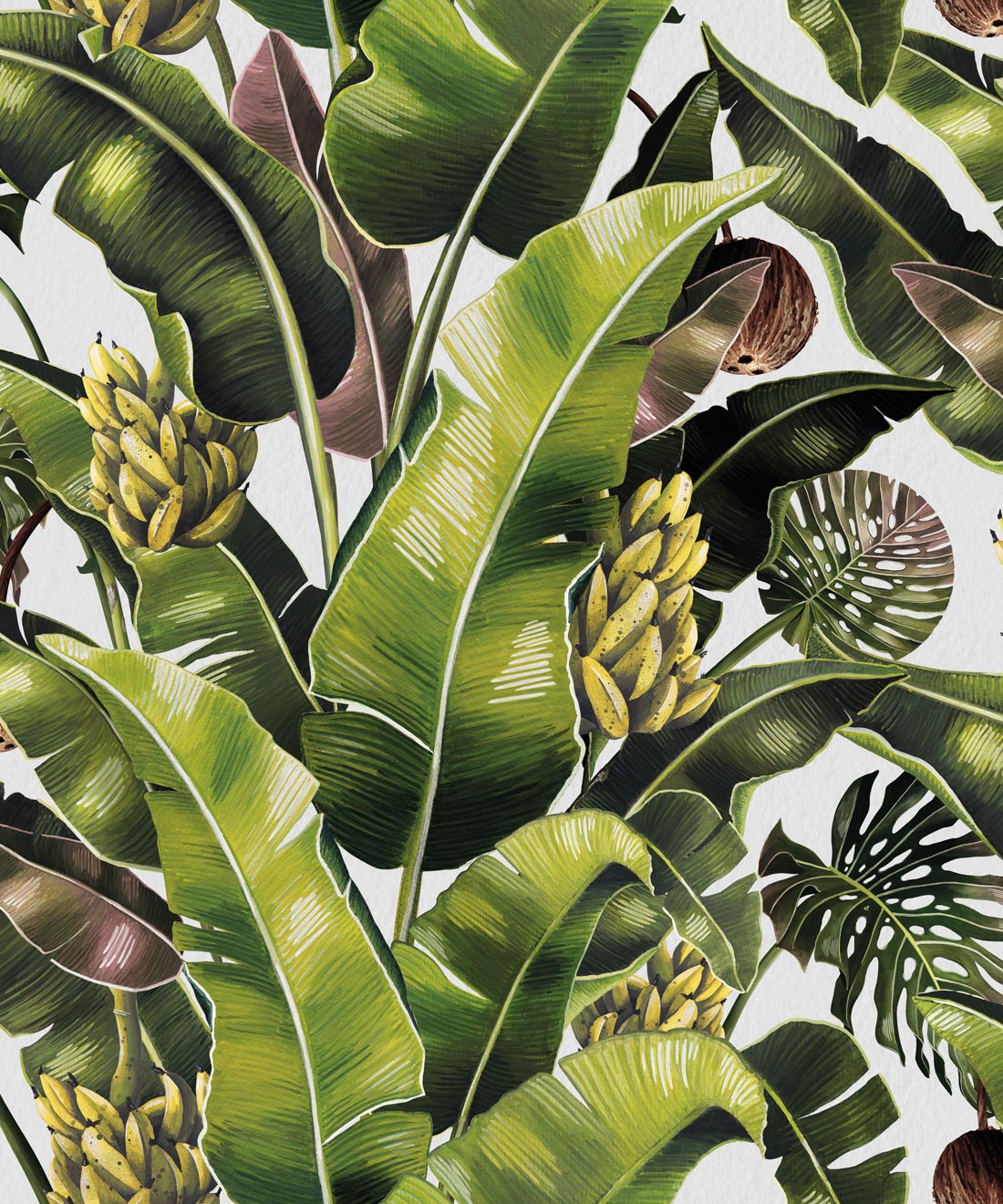 Banana Leaf Wallpapers