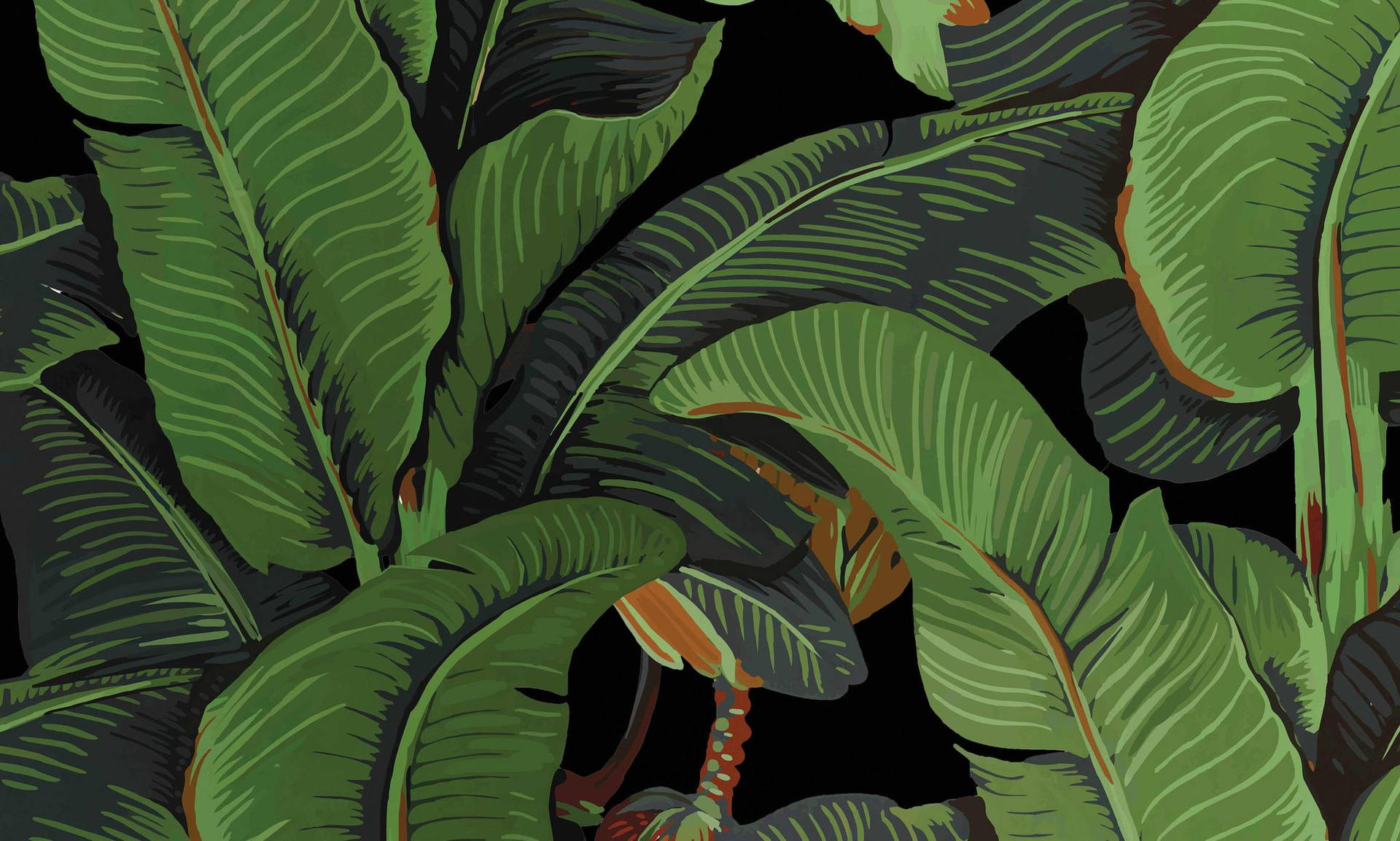 Banana Leaf Wallpapers