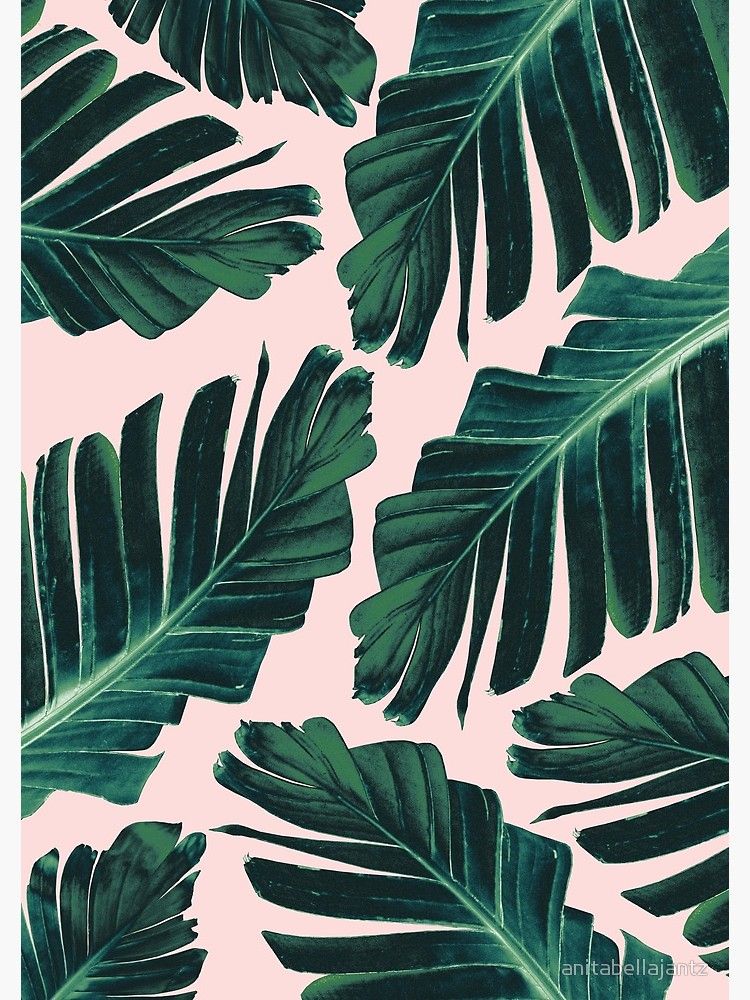 Banana Leaf Wallpapers