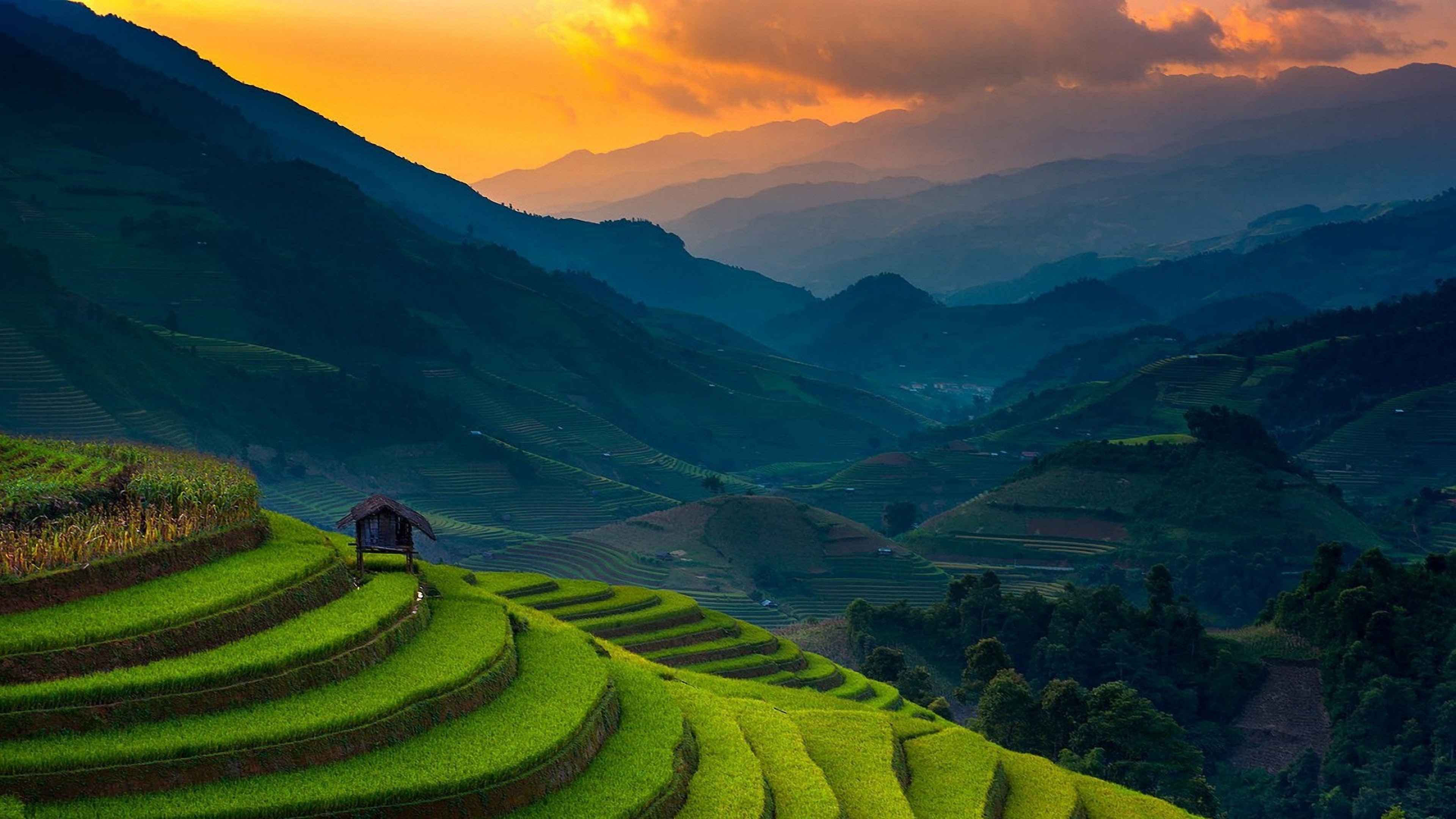 Banaue Wallpapers