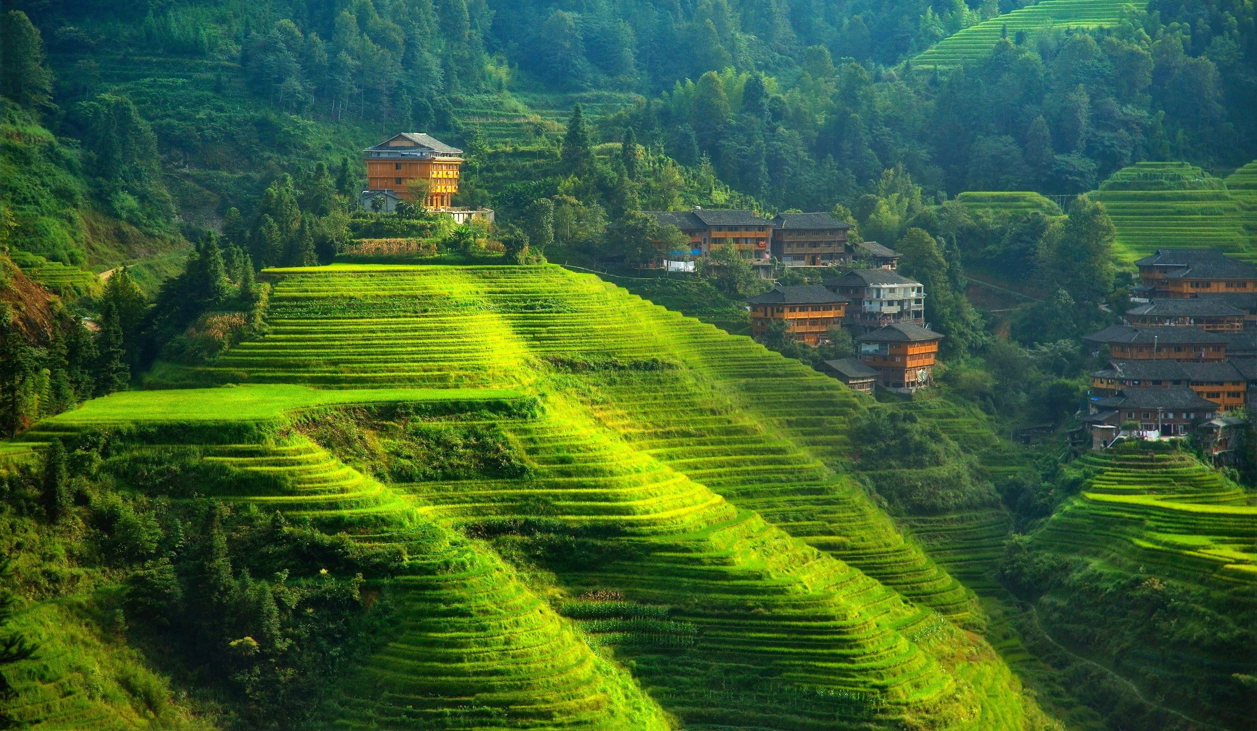 Banaue Wallpapers