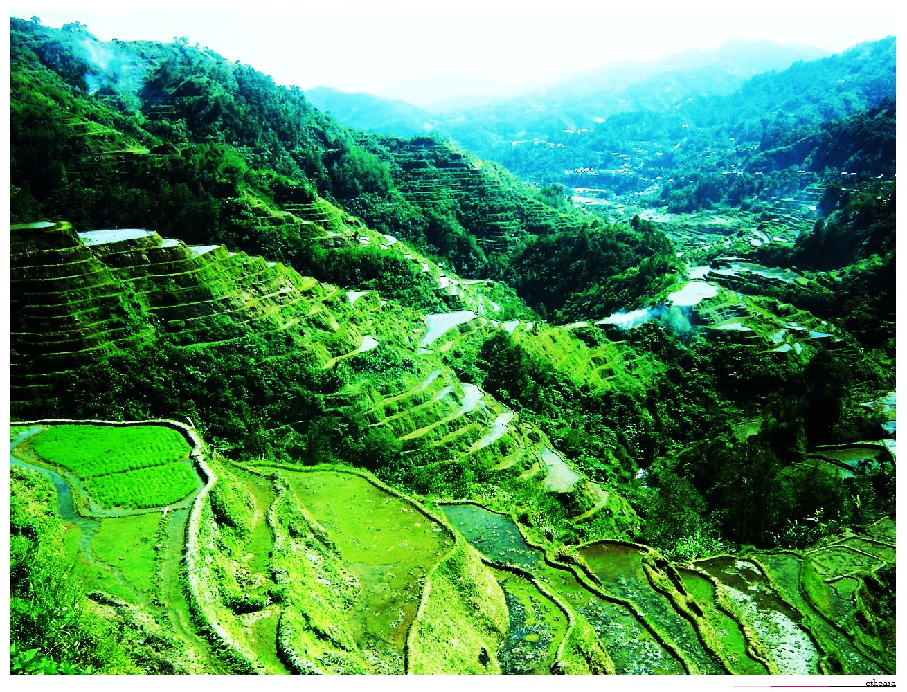 Banaue Wallpapers