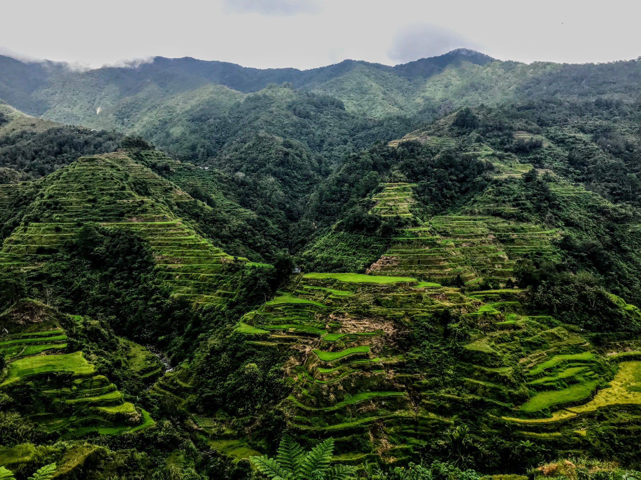 Banaue Wallpapers