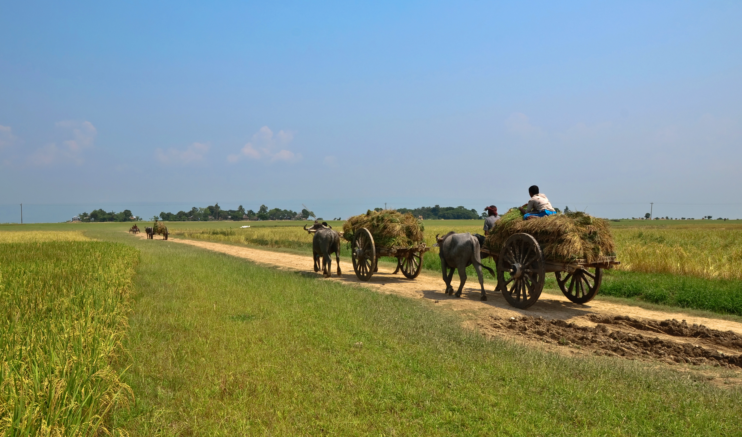 Bangladesh Wallpapers