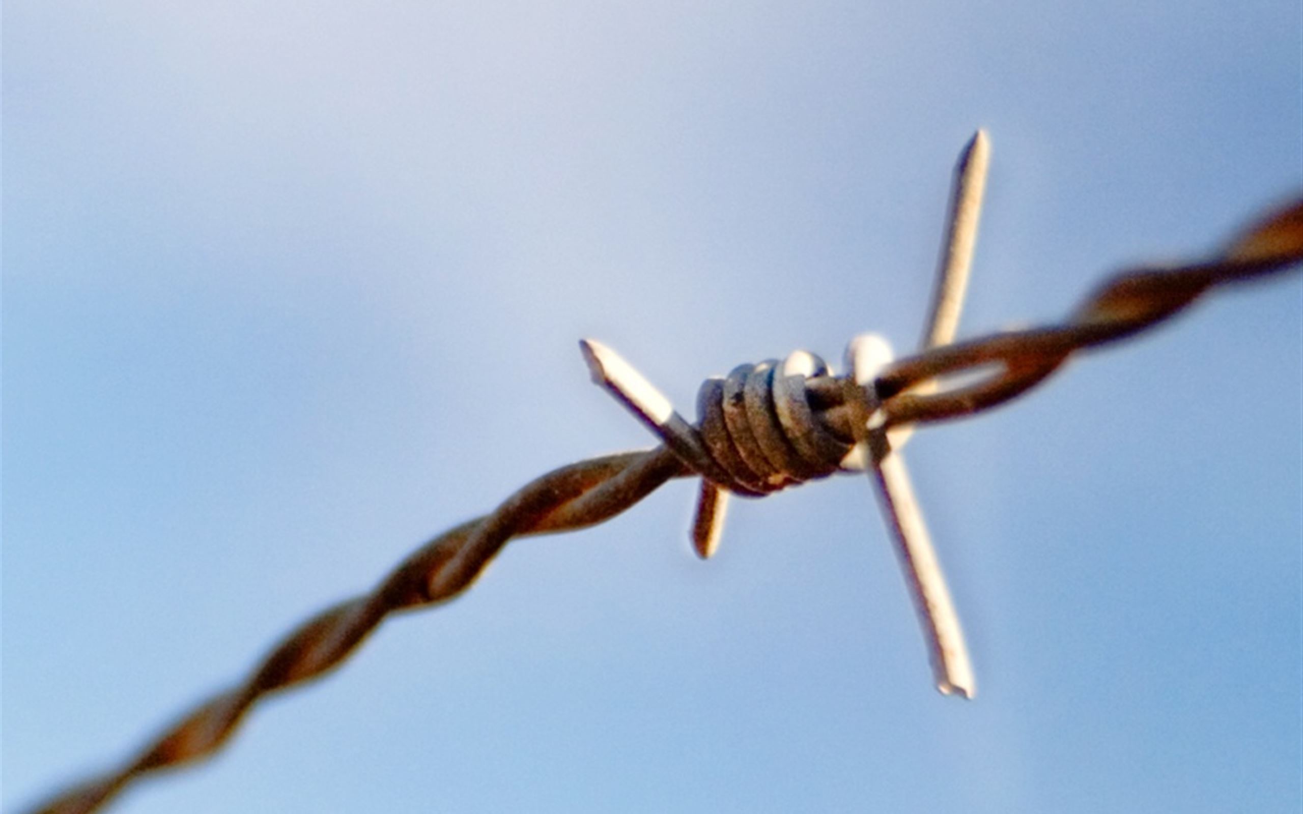 Barb Wire Wallpapers