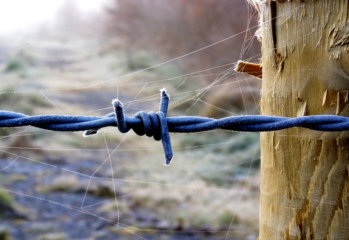 Barb Wire Wallpapers