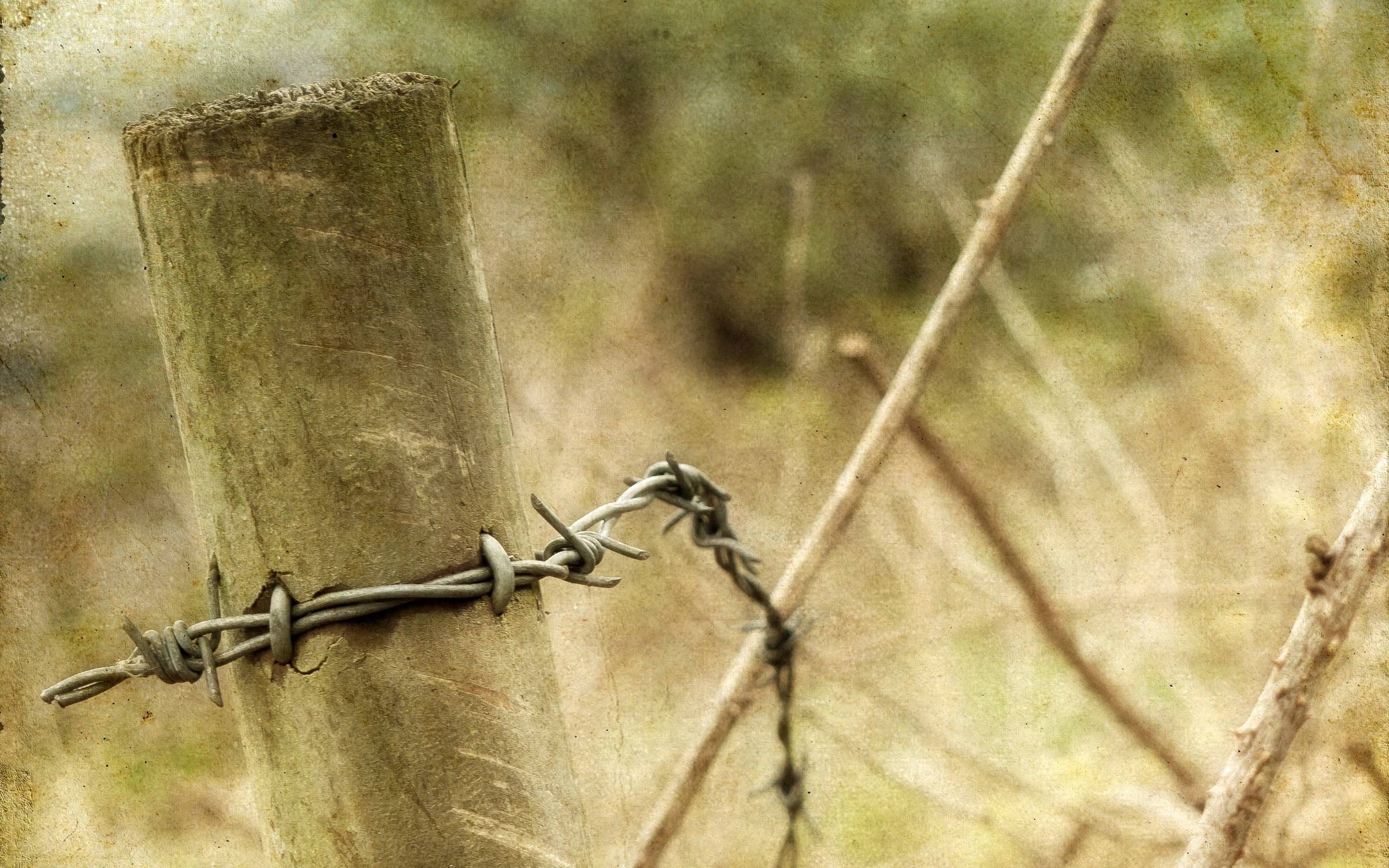 Barb Wire Wallpapers