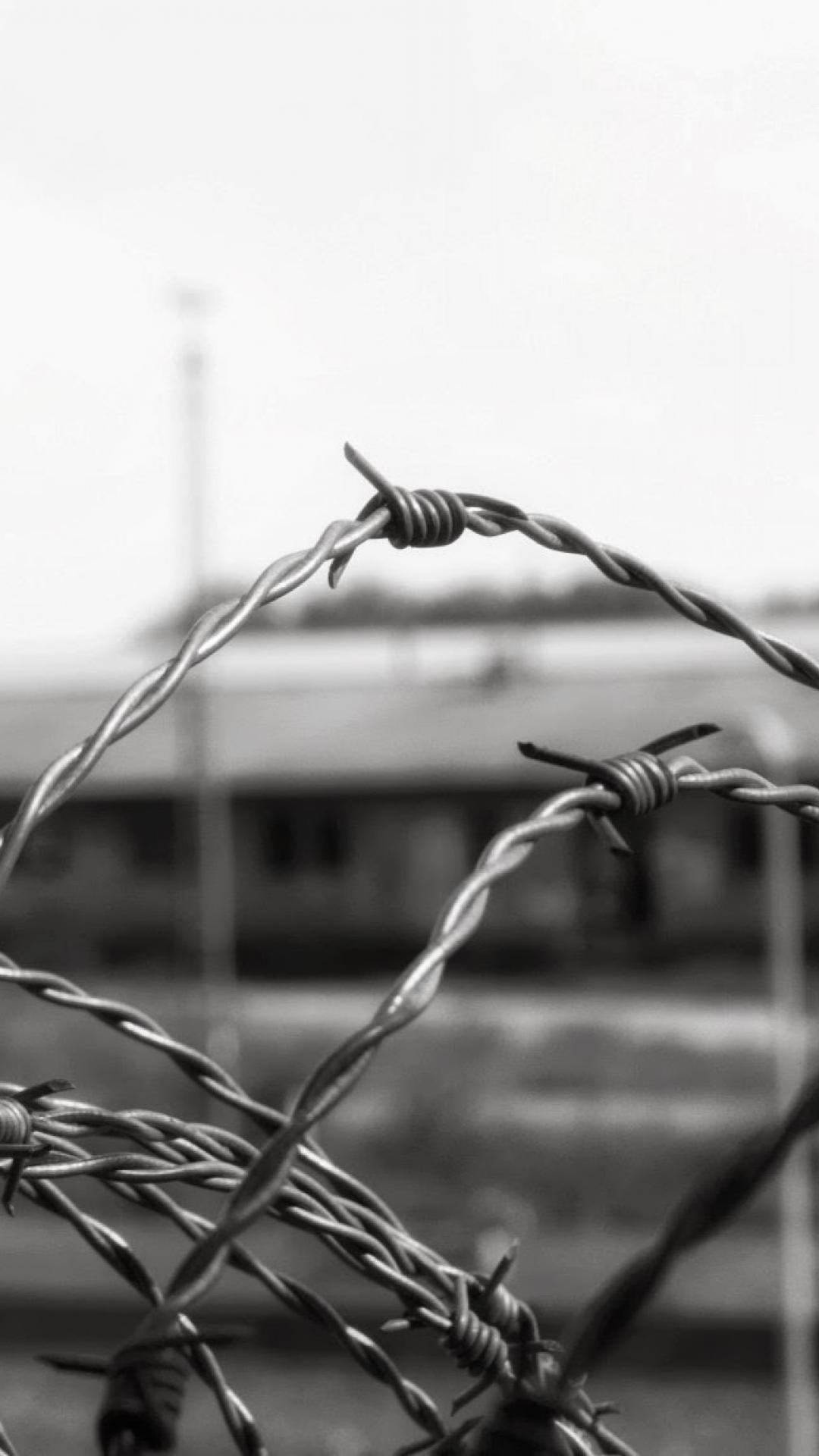 Barb Wire Wallpapers