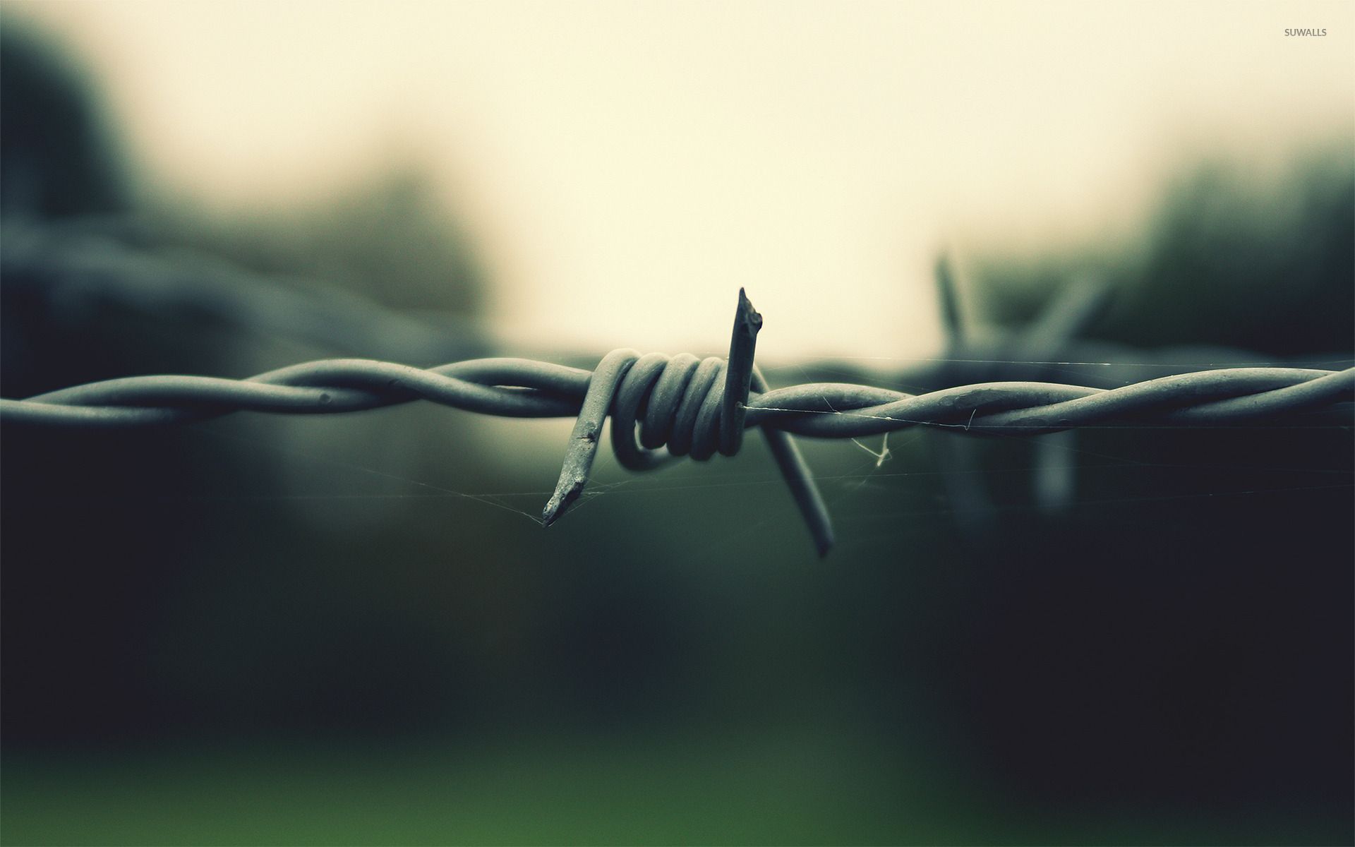 Barb Wire Wallpapers