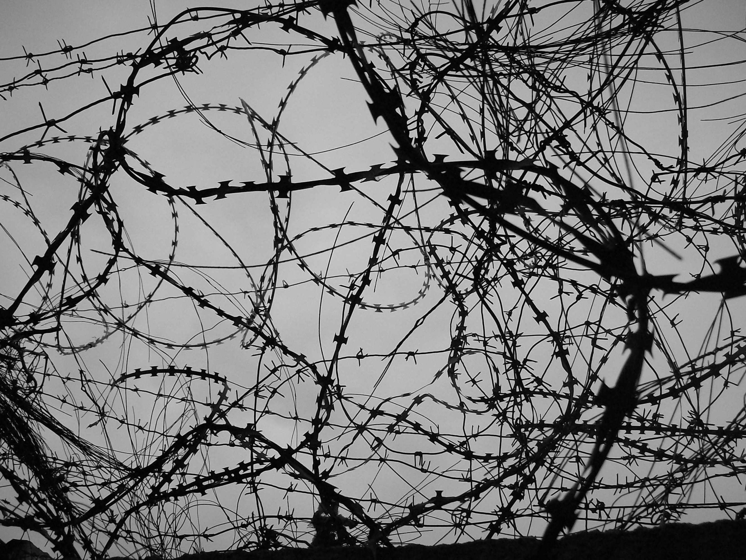 Barbed Wire Wallpapers