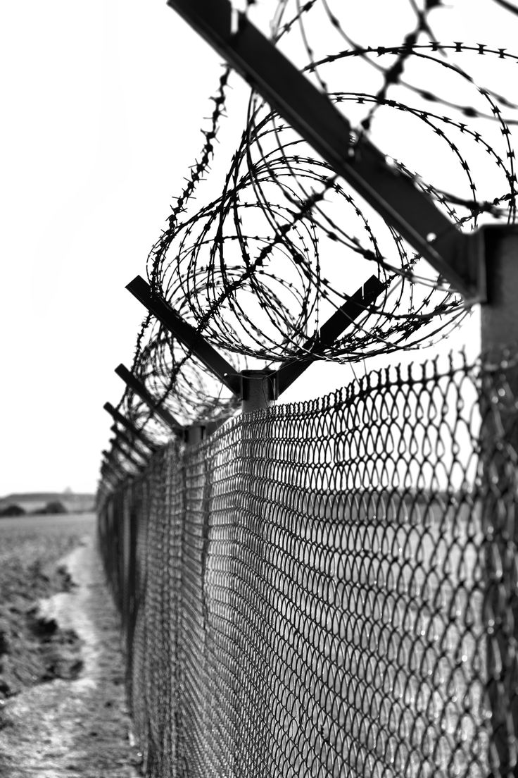 Barbed Wire Wallpapers