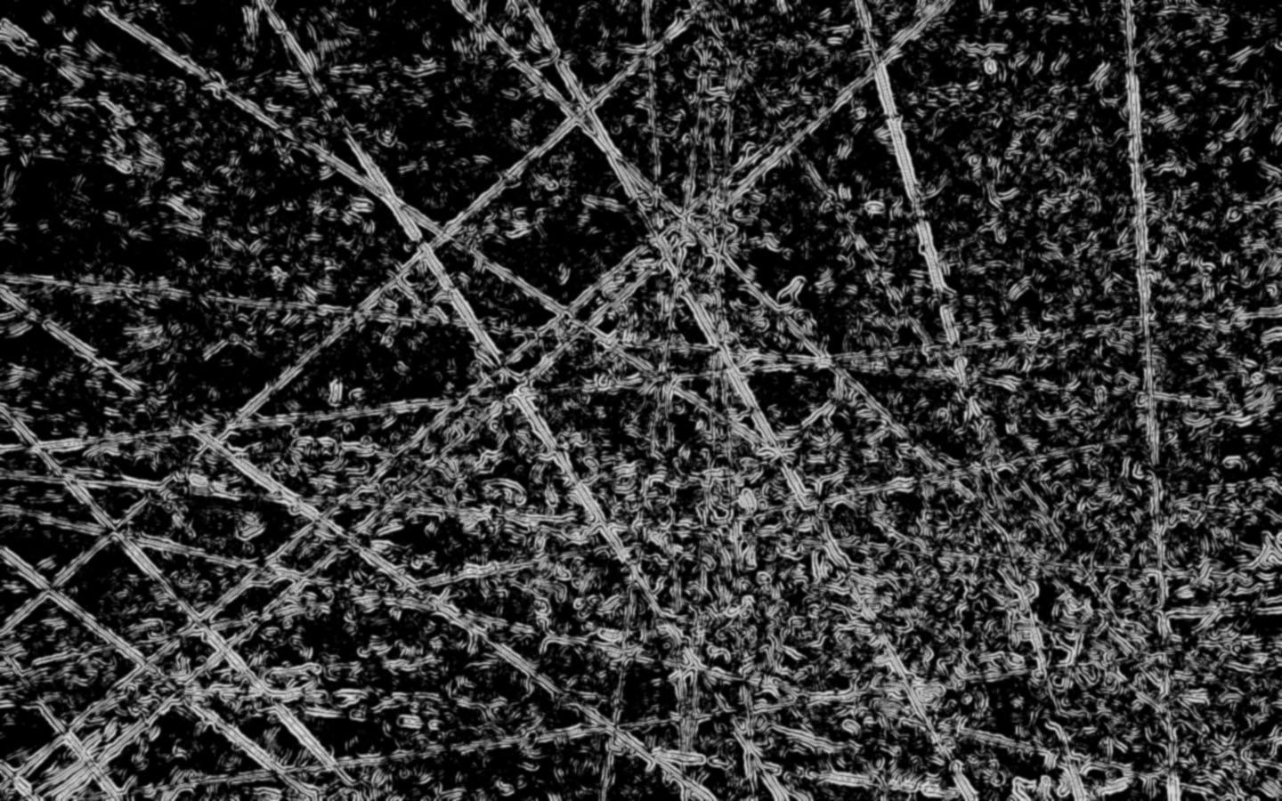 Barbed Wire Wallpapers