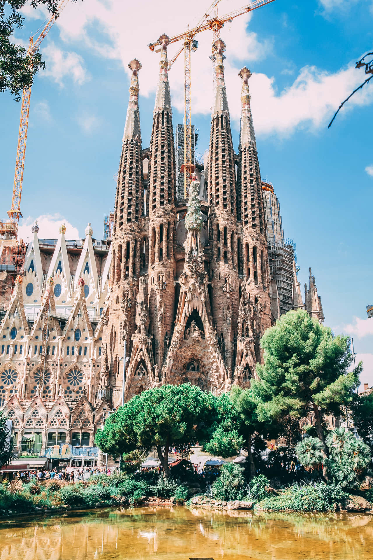 Barcelona Cathedral Wallpapers