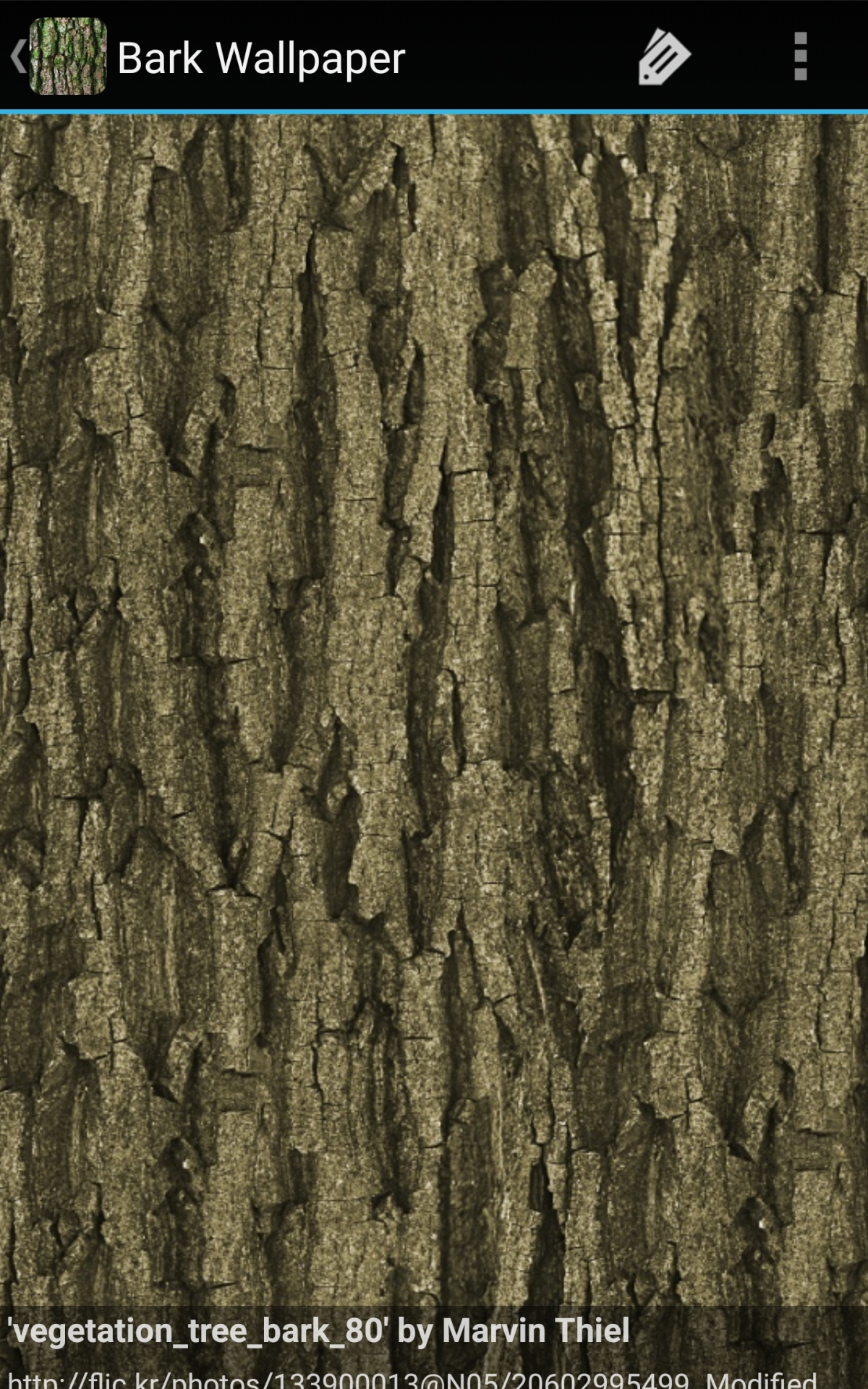 Bark Wall Paper Wallpapers