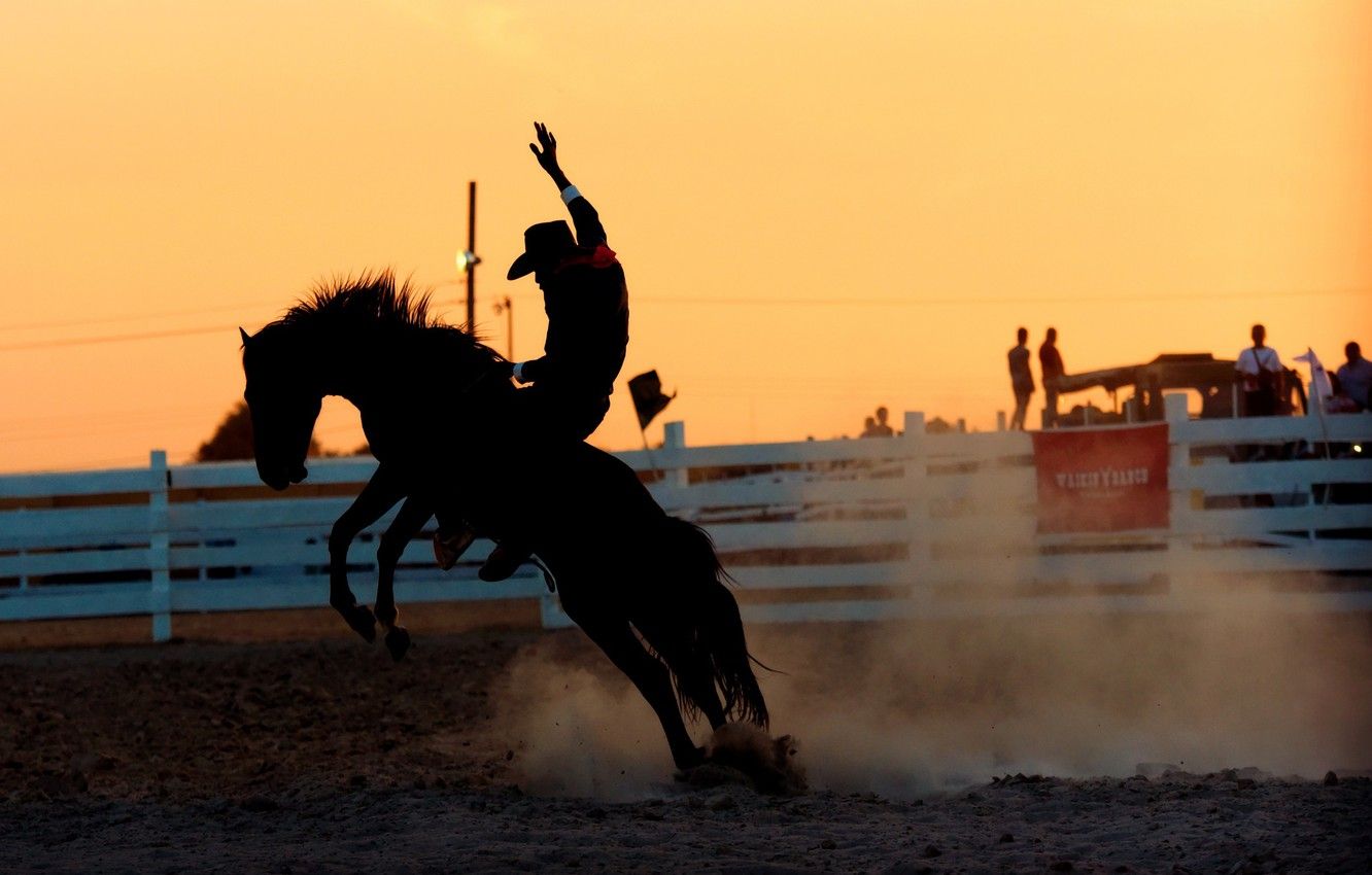 Barrel Racing Wallpapers