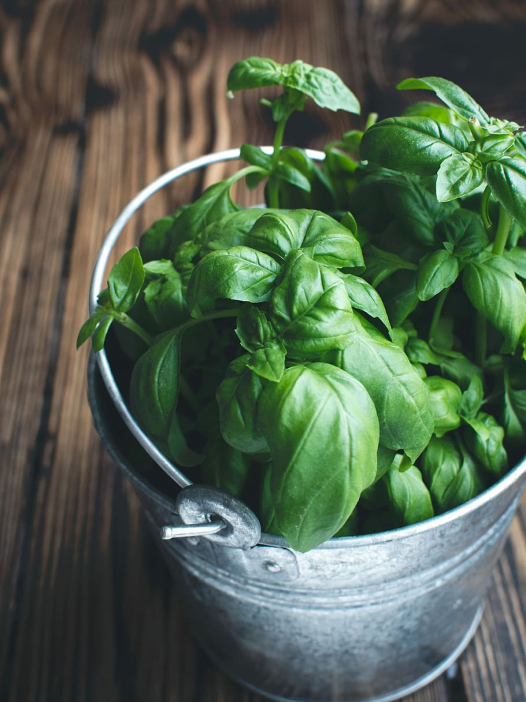 Basil Wallpapers