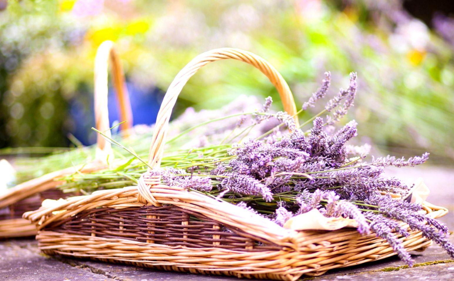 Basket Of Lavender Purple Flower Wallpapers